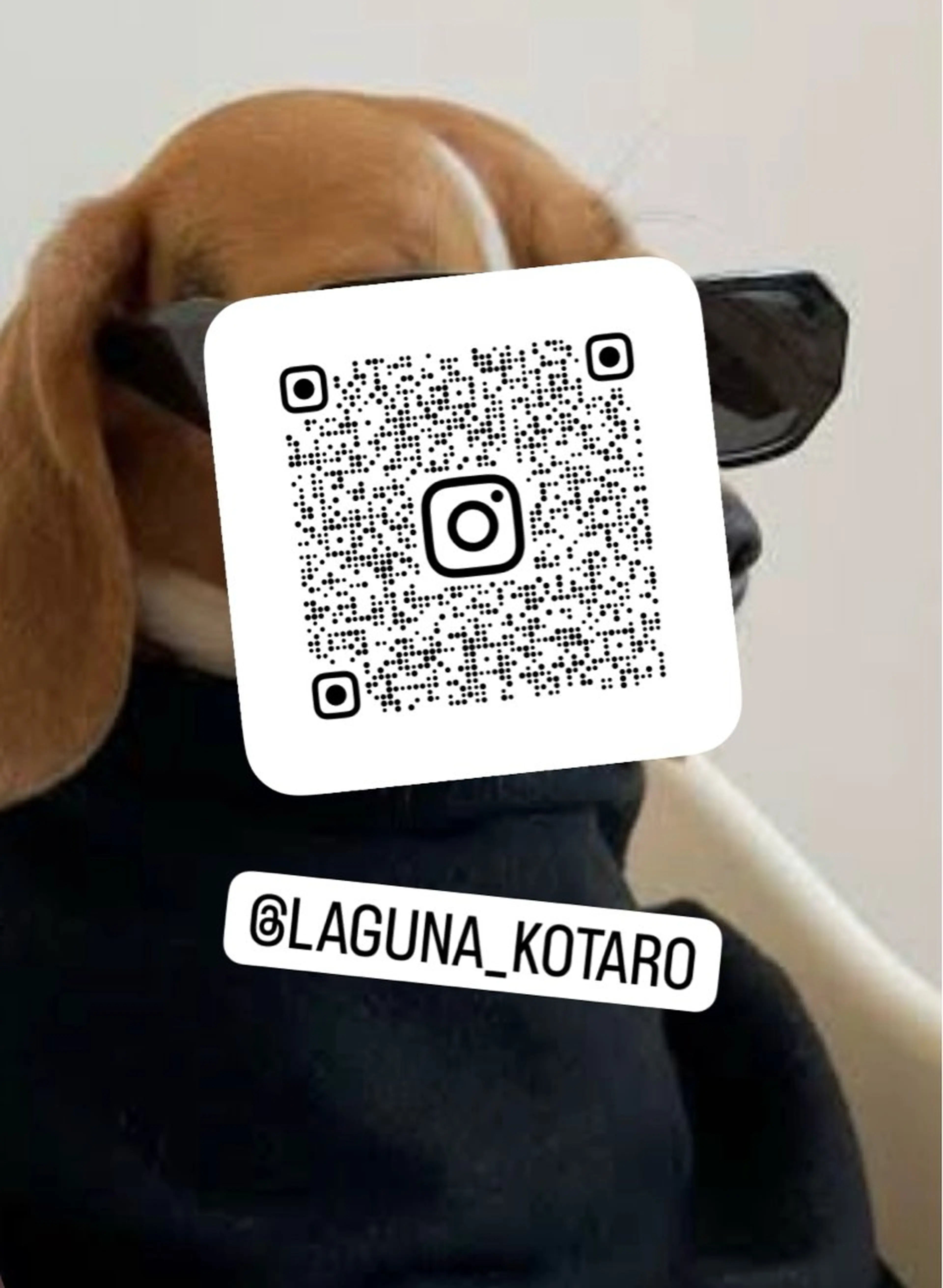 【メンズ限定】ワンカラー+クイックトリートメント(夜限定)の写真