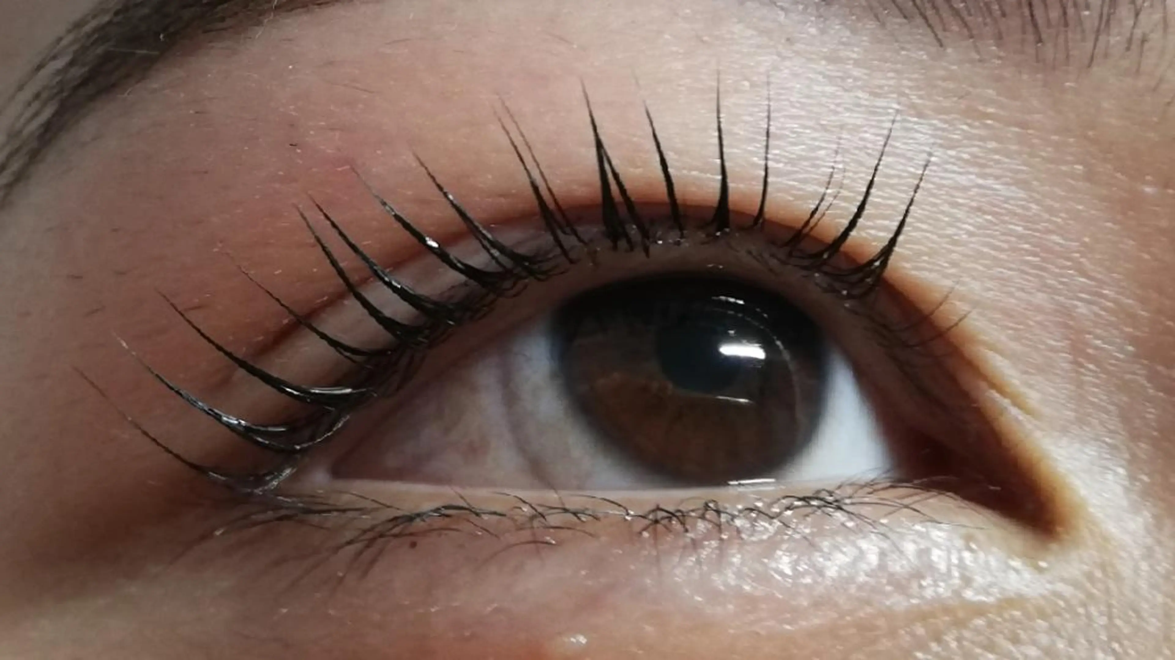 マツエク・マツパ angelux 所属・完全個室サロン🌹 angelux🌹のマツエク・マツパデザイン