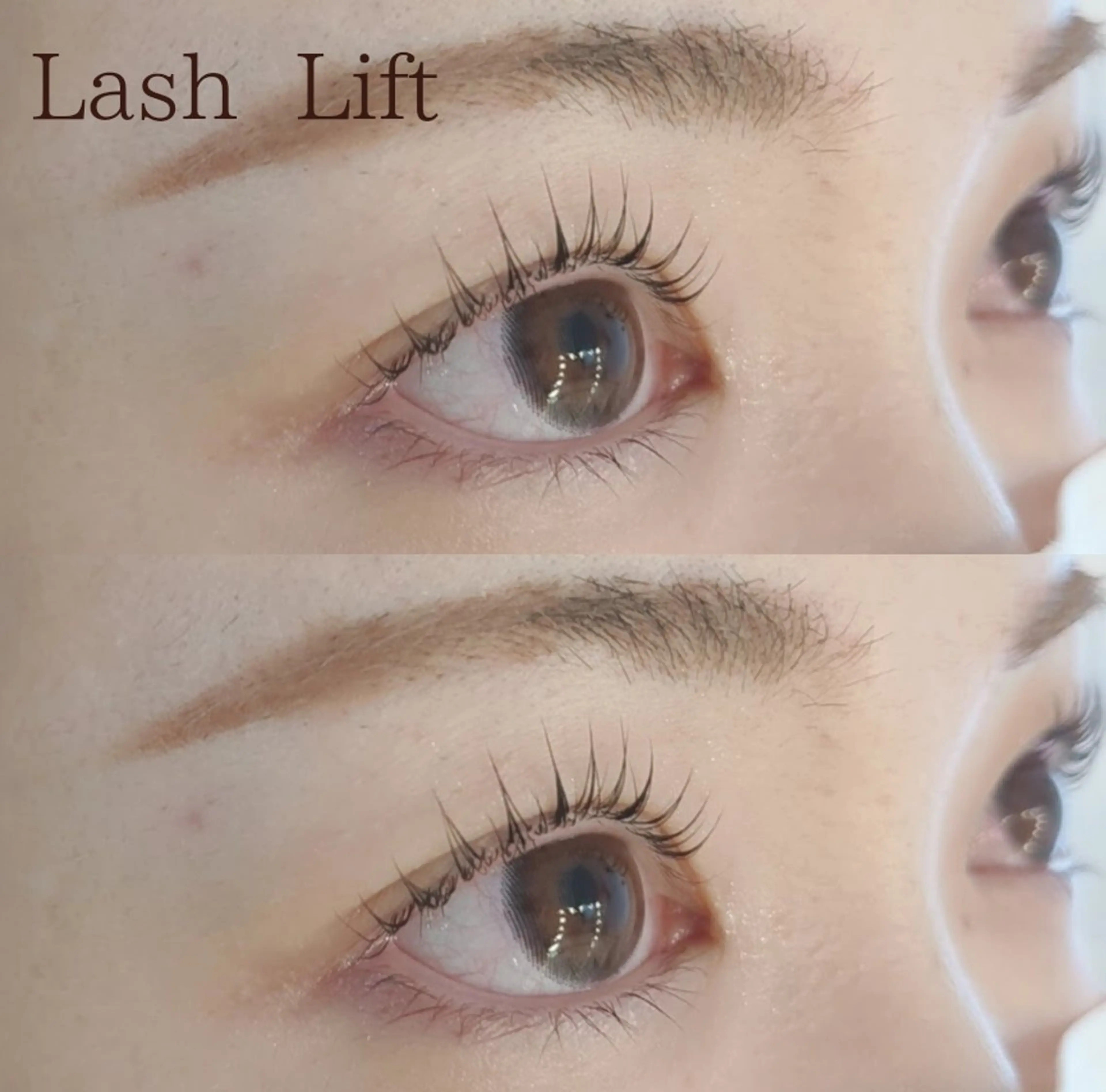 マツエク・マツパ マツパ MELIA eyelashのマツエク・マツパデザイン