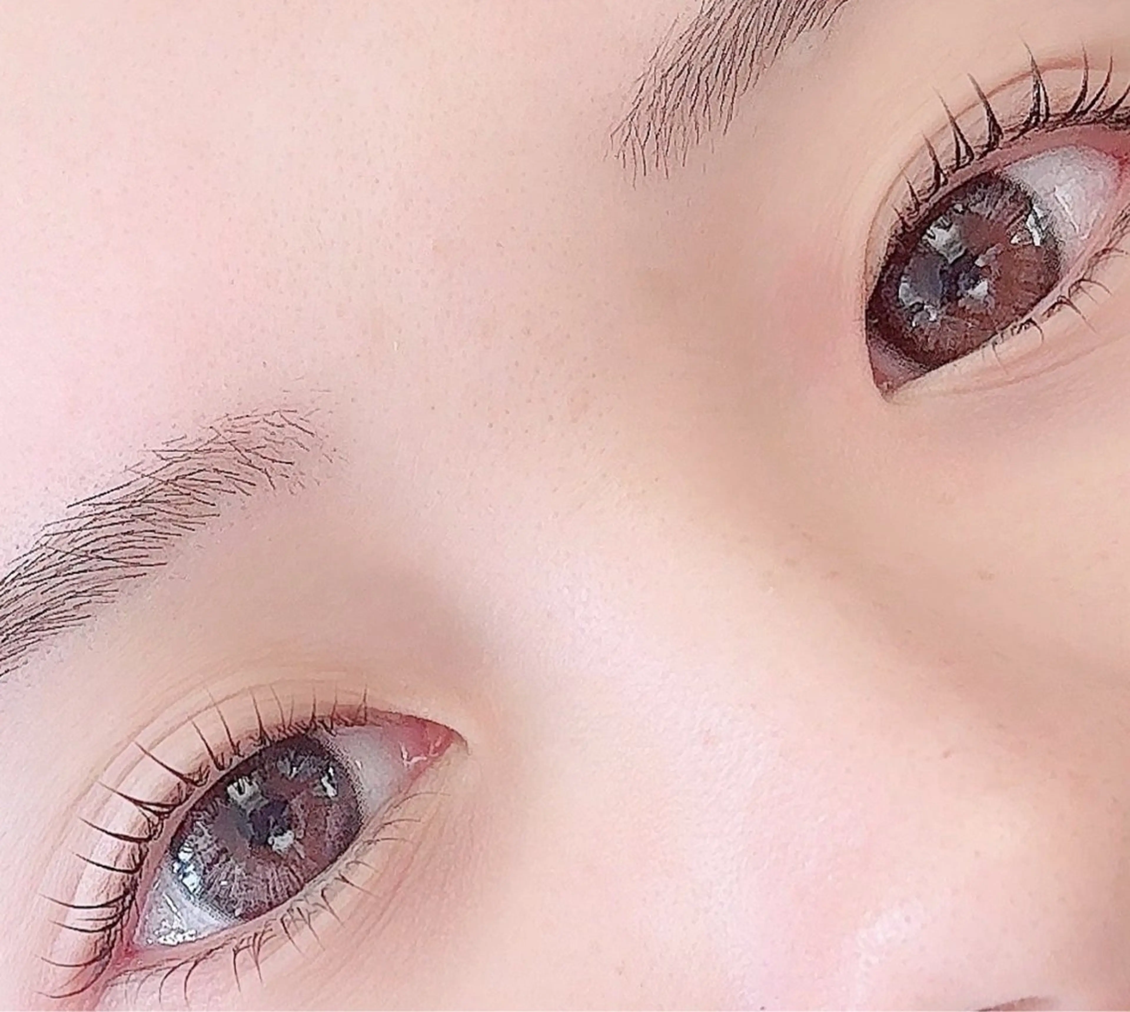 12月限定価格🍄上下まつげパーマ中顔面短縮✨️¥7500┆束感コーティング仕上げの写真