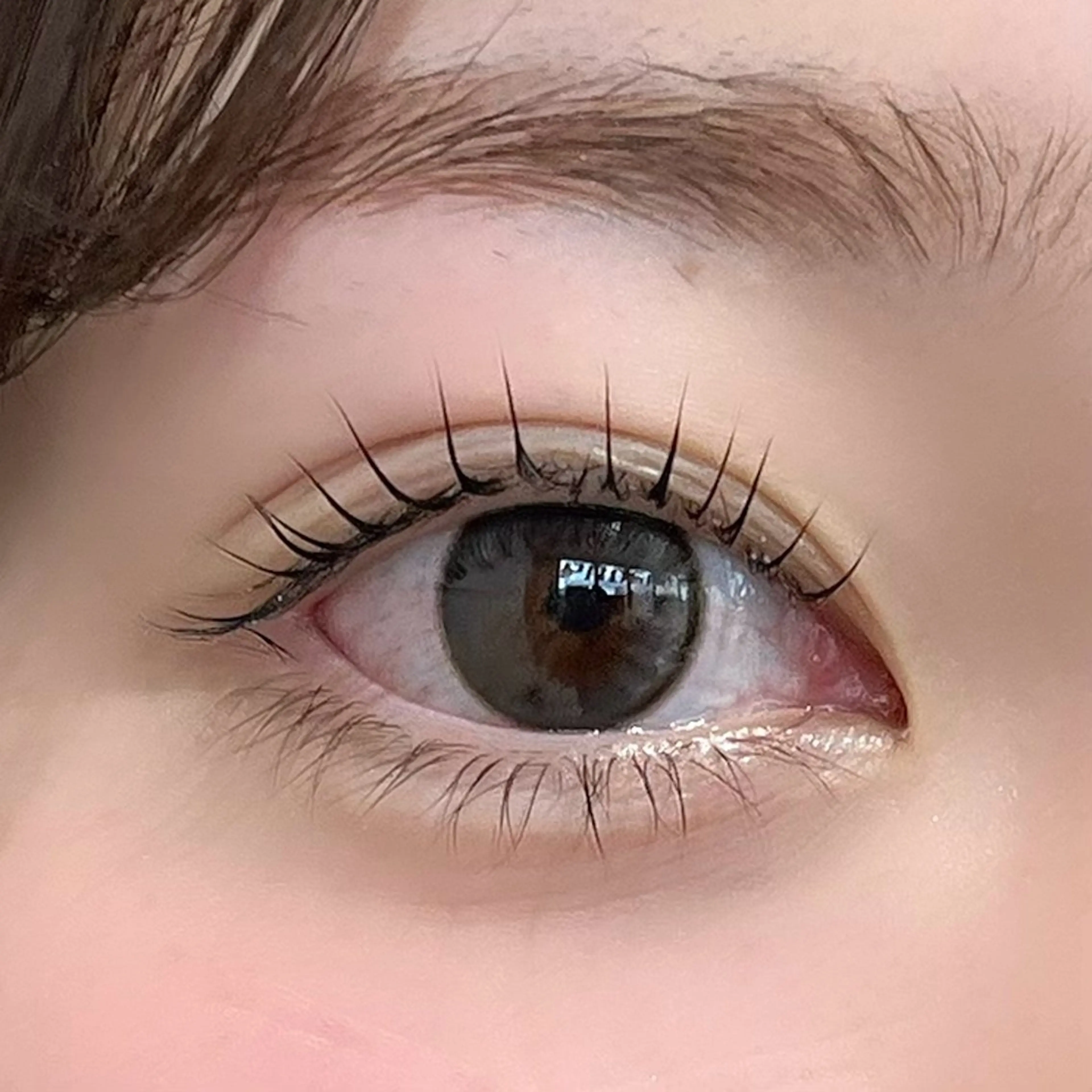 再来🩶まつげパーマ（束間コーティング付き）の写真