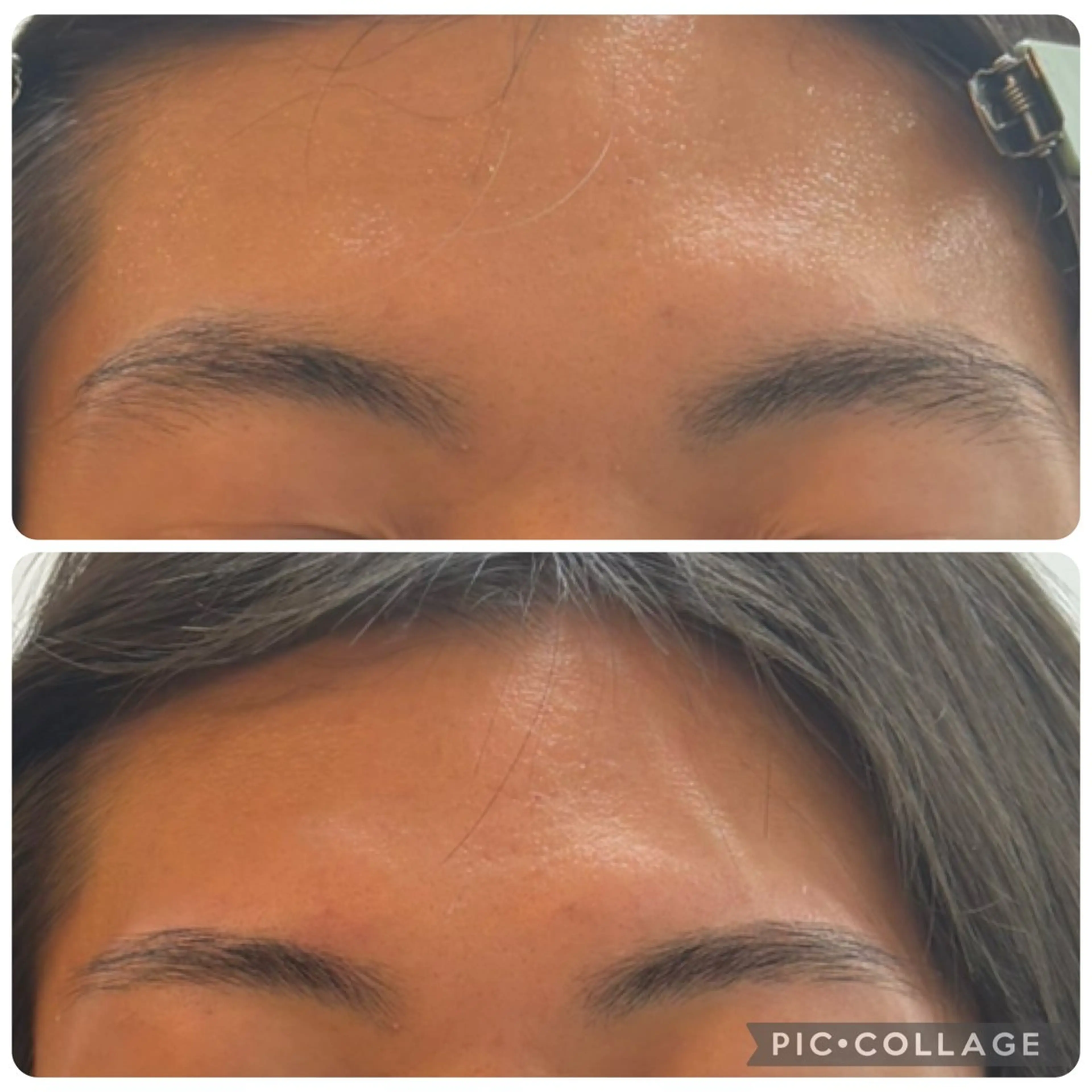 クイックブロウの写真