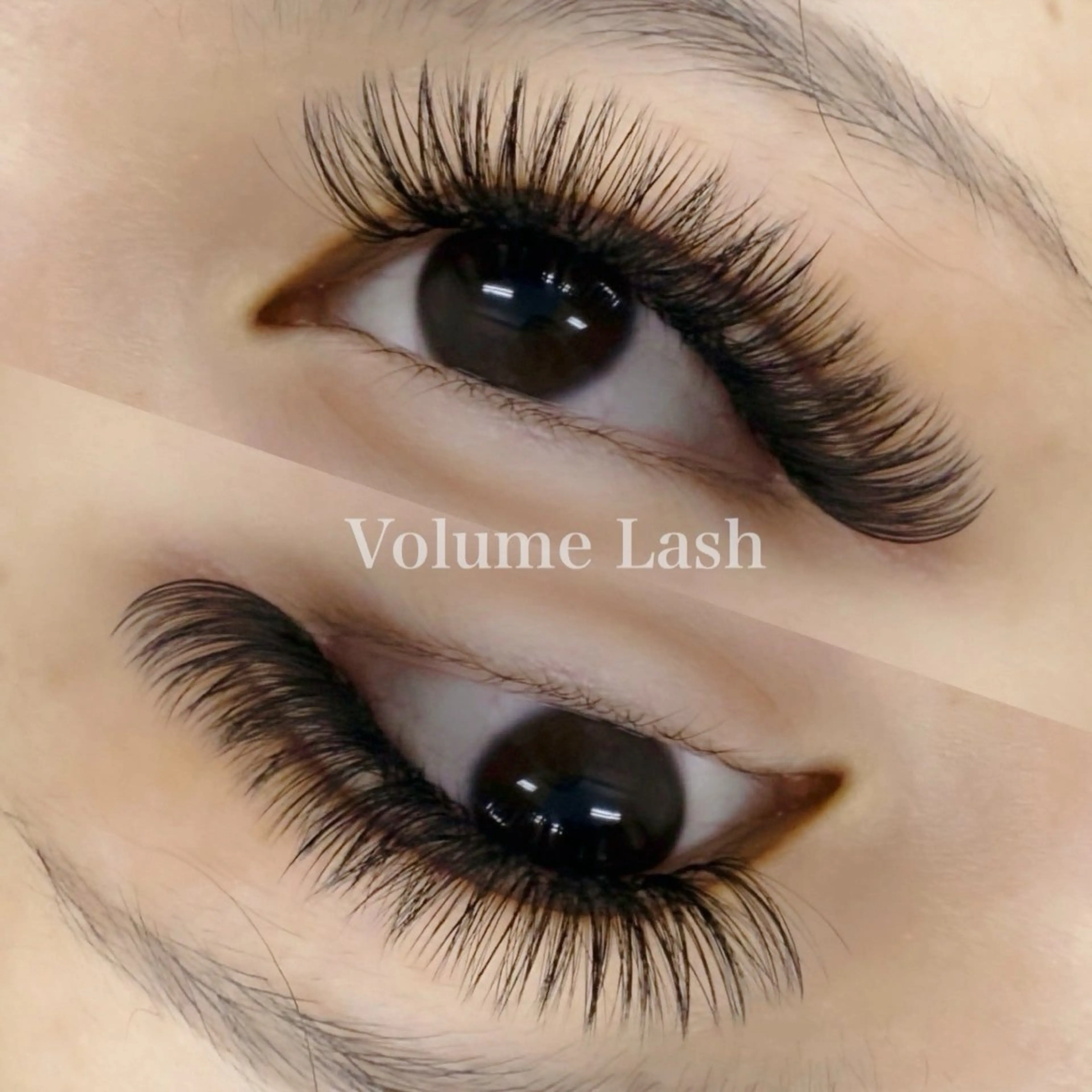 ふわふわボリュームラッシュ400本(100束)の写真