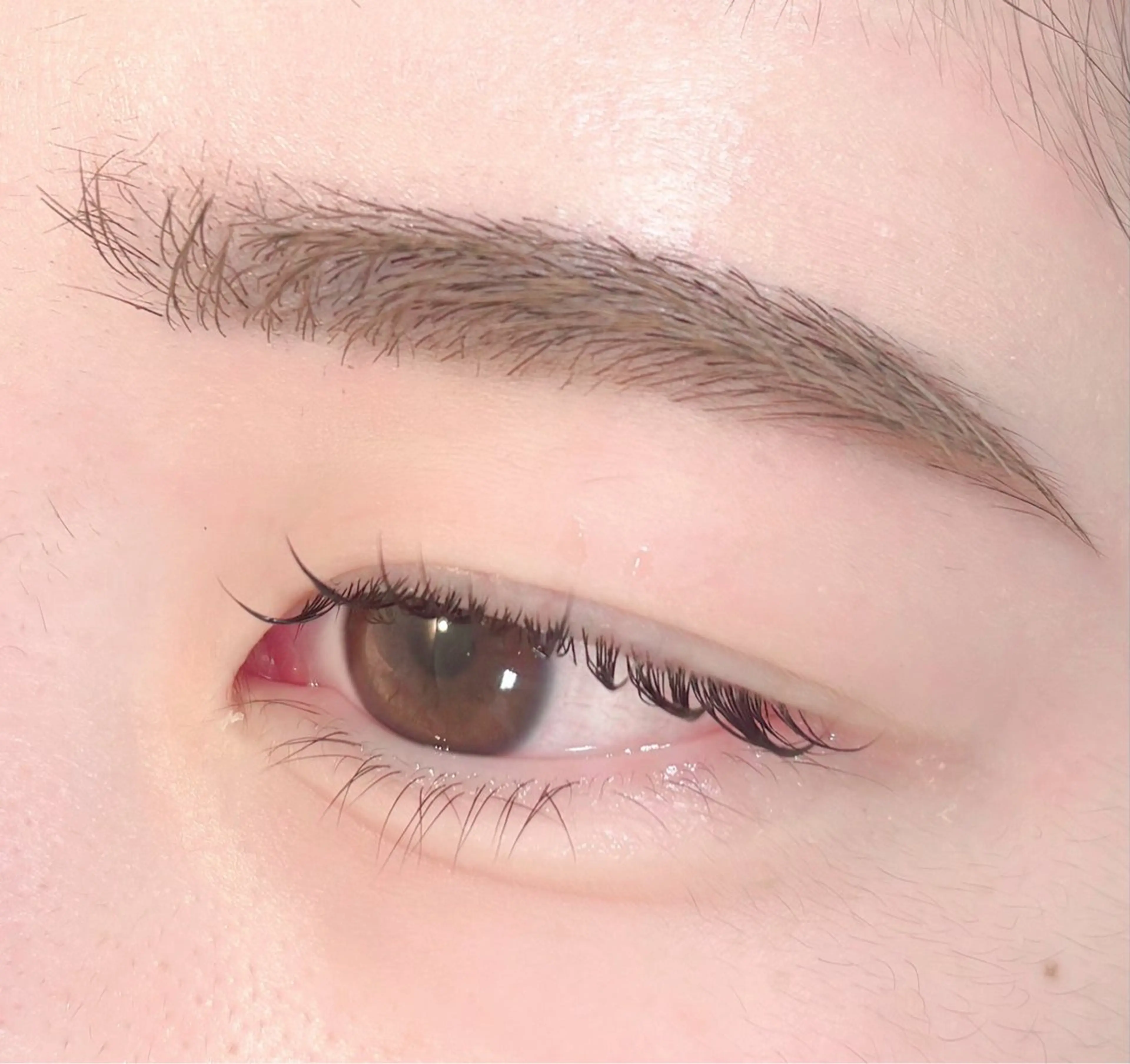 🌸アイブロウWAX+ラッシュリフト🌸アイブロウメイク仕上げ+まつ毛コーティング付き🫧の写真