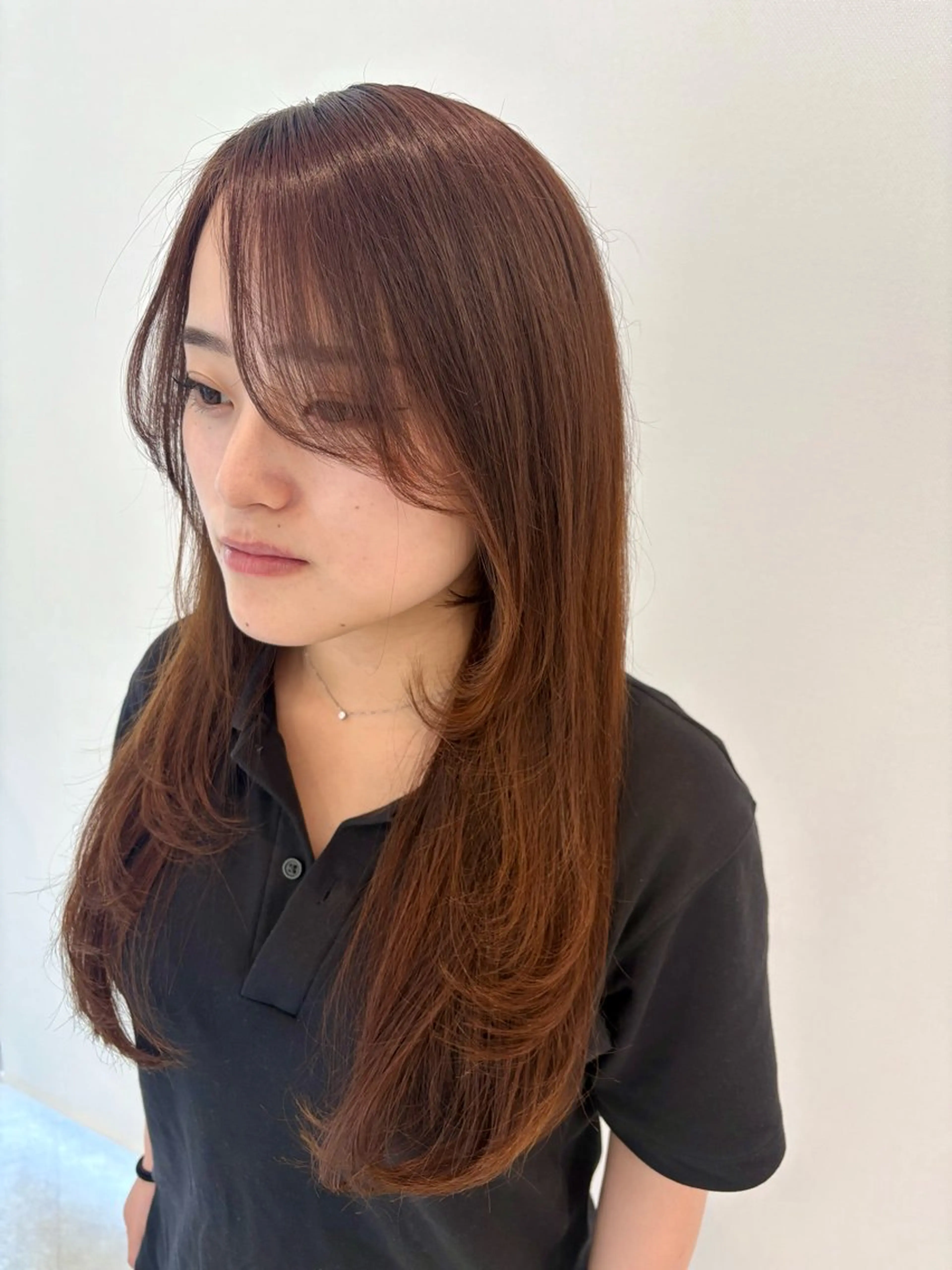 ⚜️平日限定メニュー⚜️カット＋カラーの写真