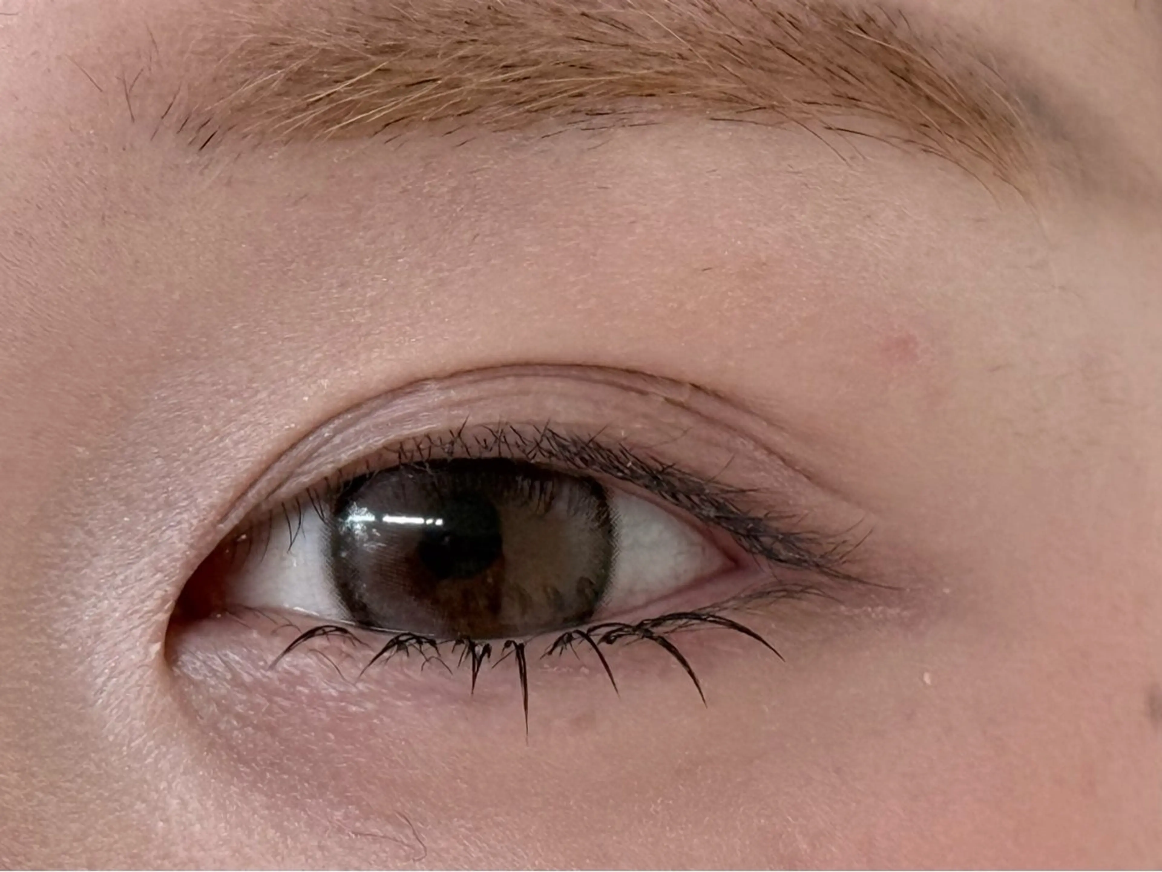 マツエク・マツパ マツエク 小林 花蓮のマツエク・マツパデザイン