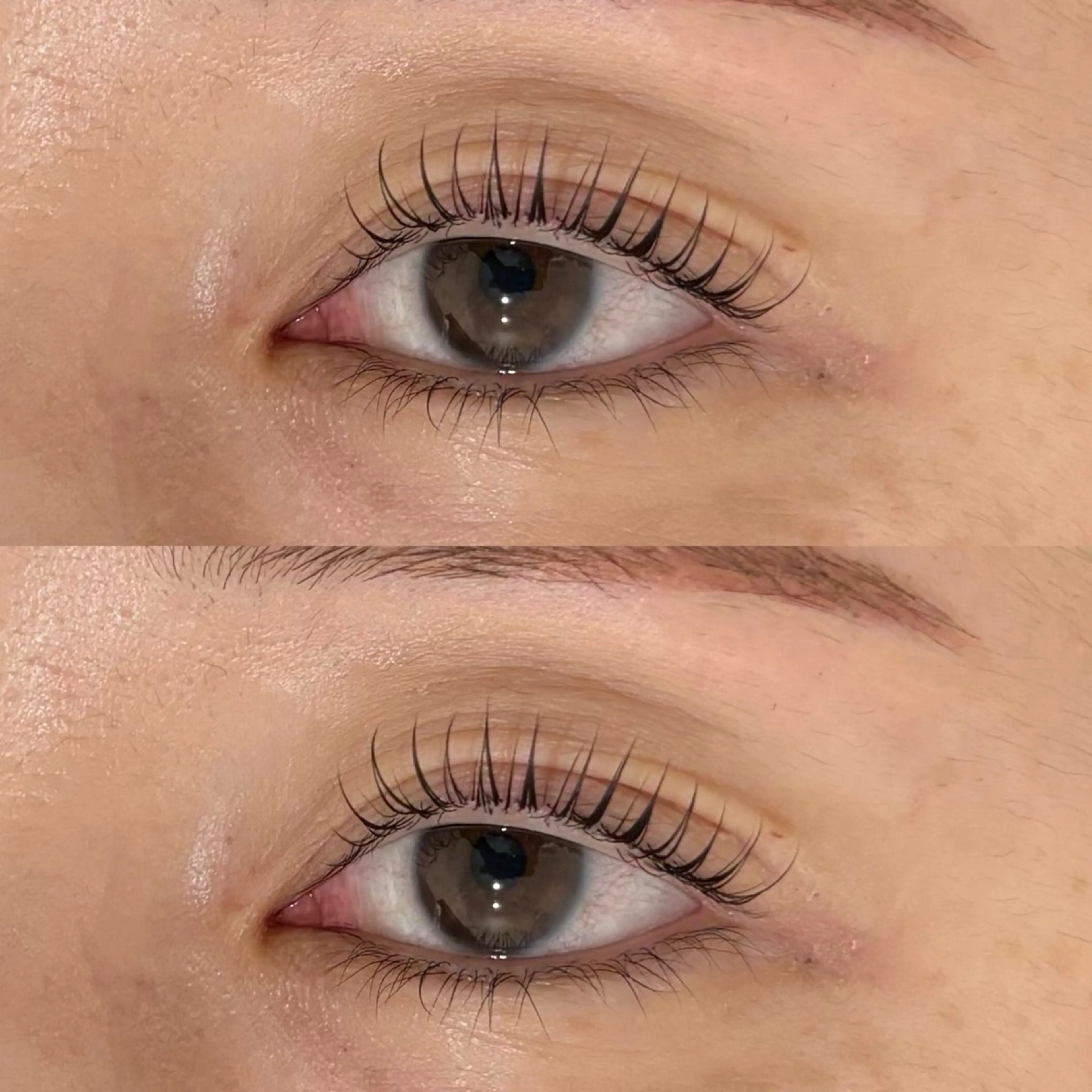 【🩵minimo限定価格】プレミアム上まつげカール🎀の写真