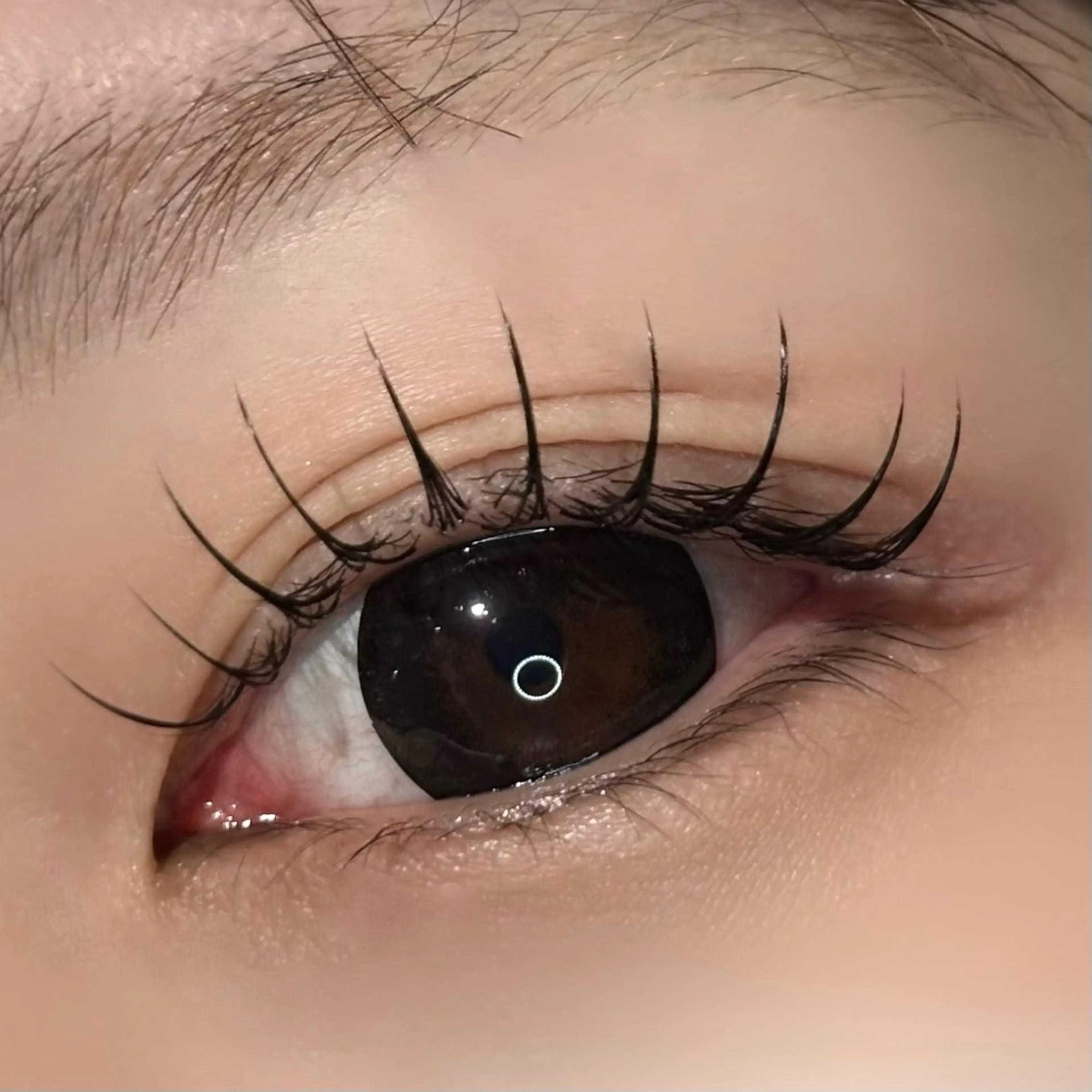 3月限定❣️アイシャンプー・オフ込み🎀ミンクラッシュ《100本》🎀フラットラッシュ変更可能🙆🏻‍♀️の写真