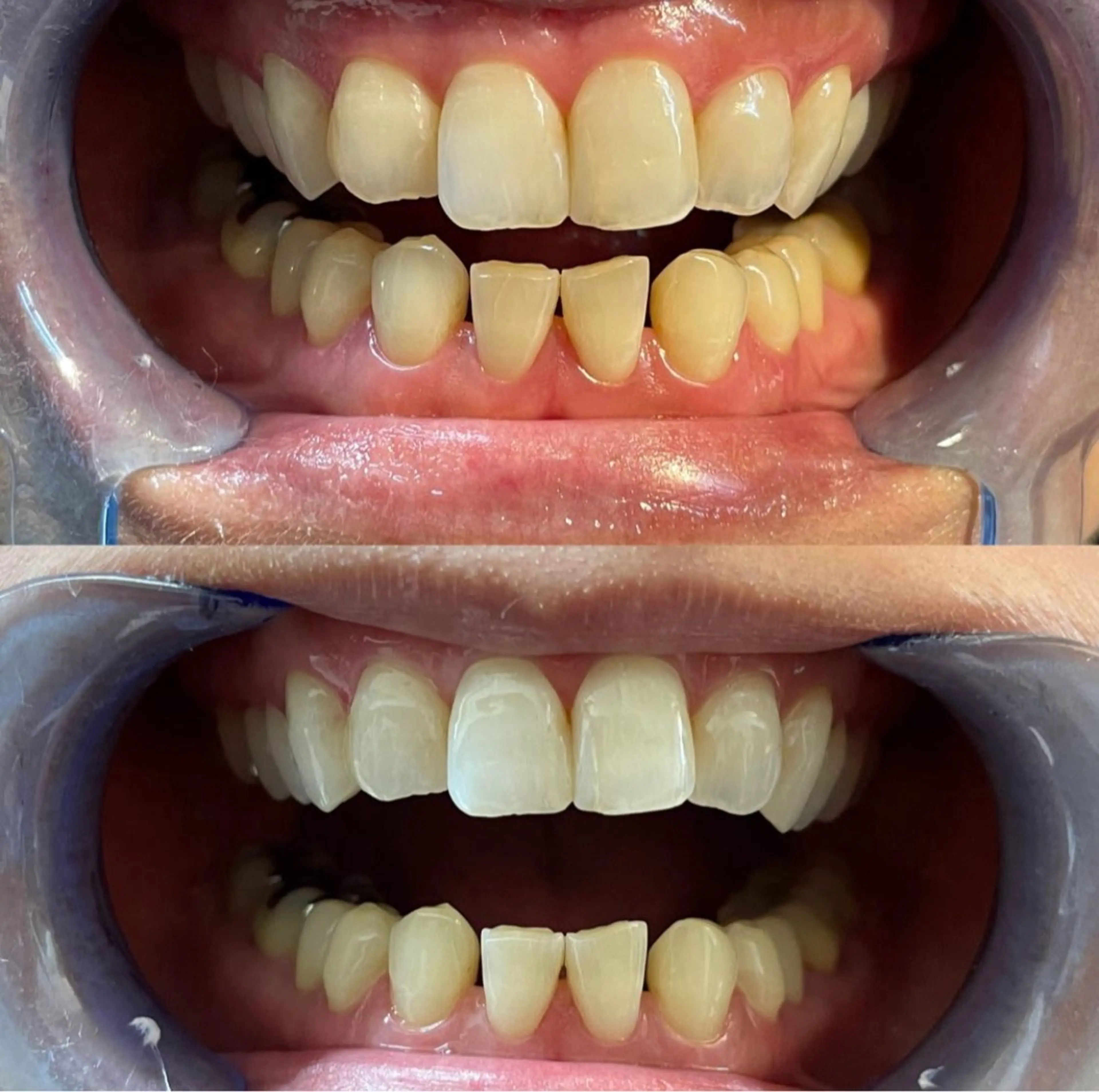 その他 桜井 智子のその他イメージ