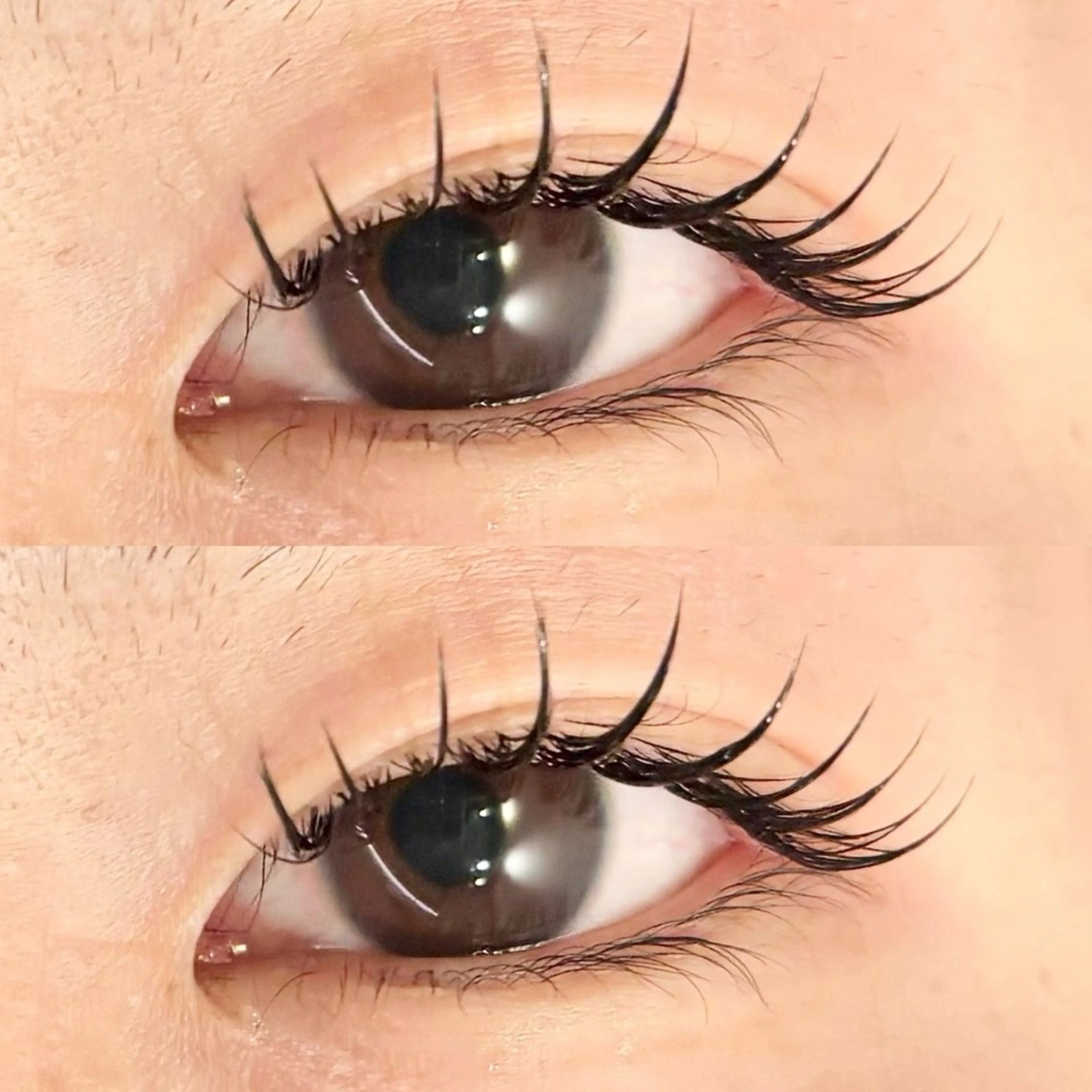 フラットラッシュ120本✨️束感コーティング仕上げ🐬の写真