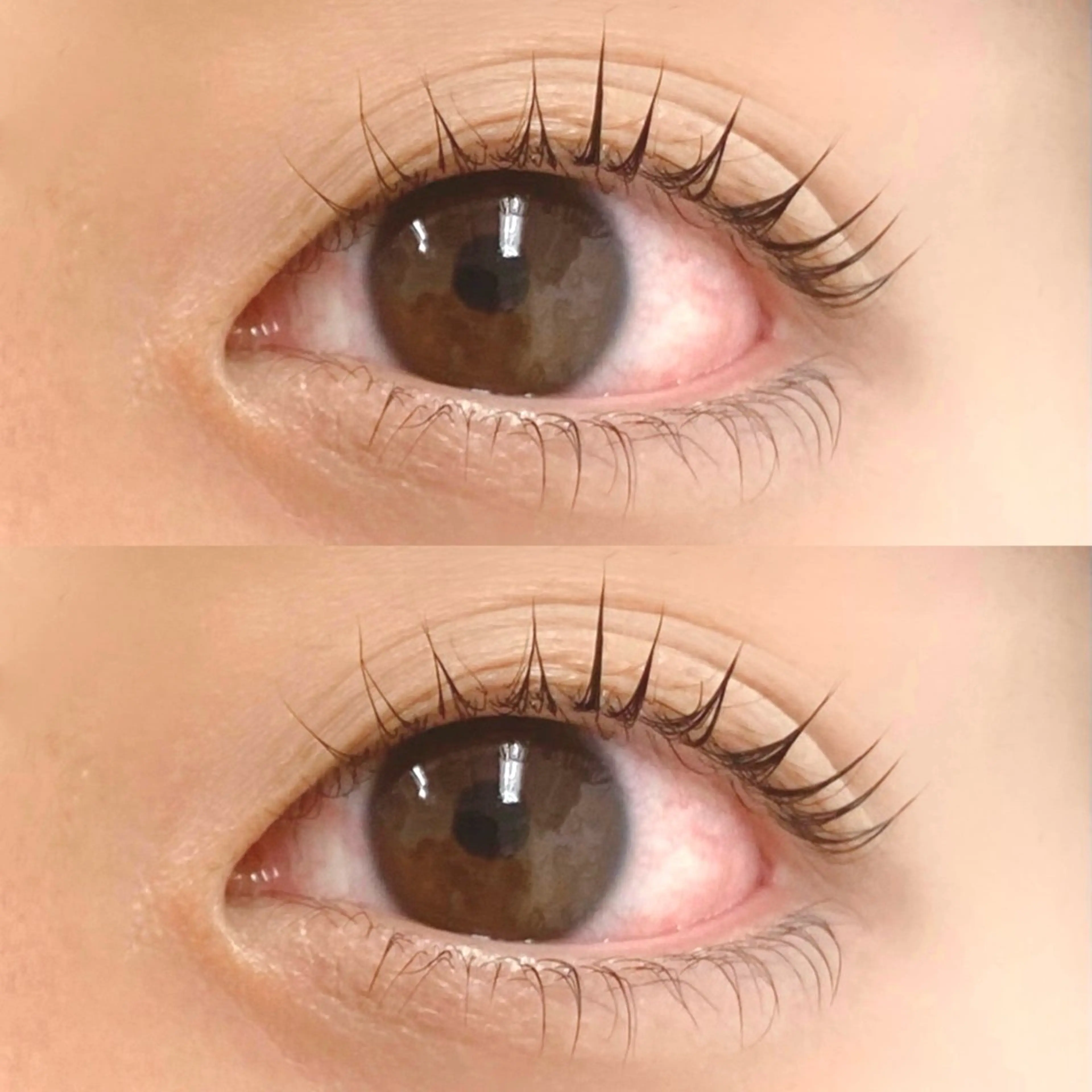 マツエク・マツパ マツパ Bianca横浜関内 NOSHITA𓆉のマツエク・マツパデザイン