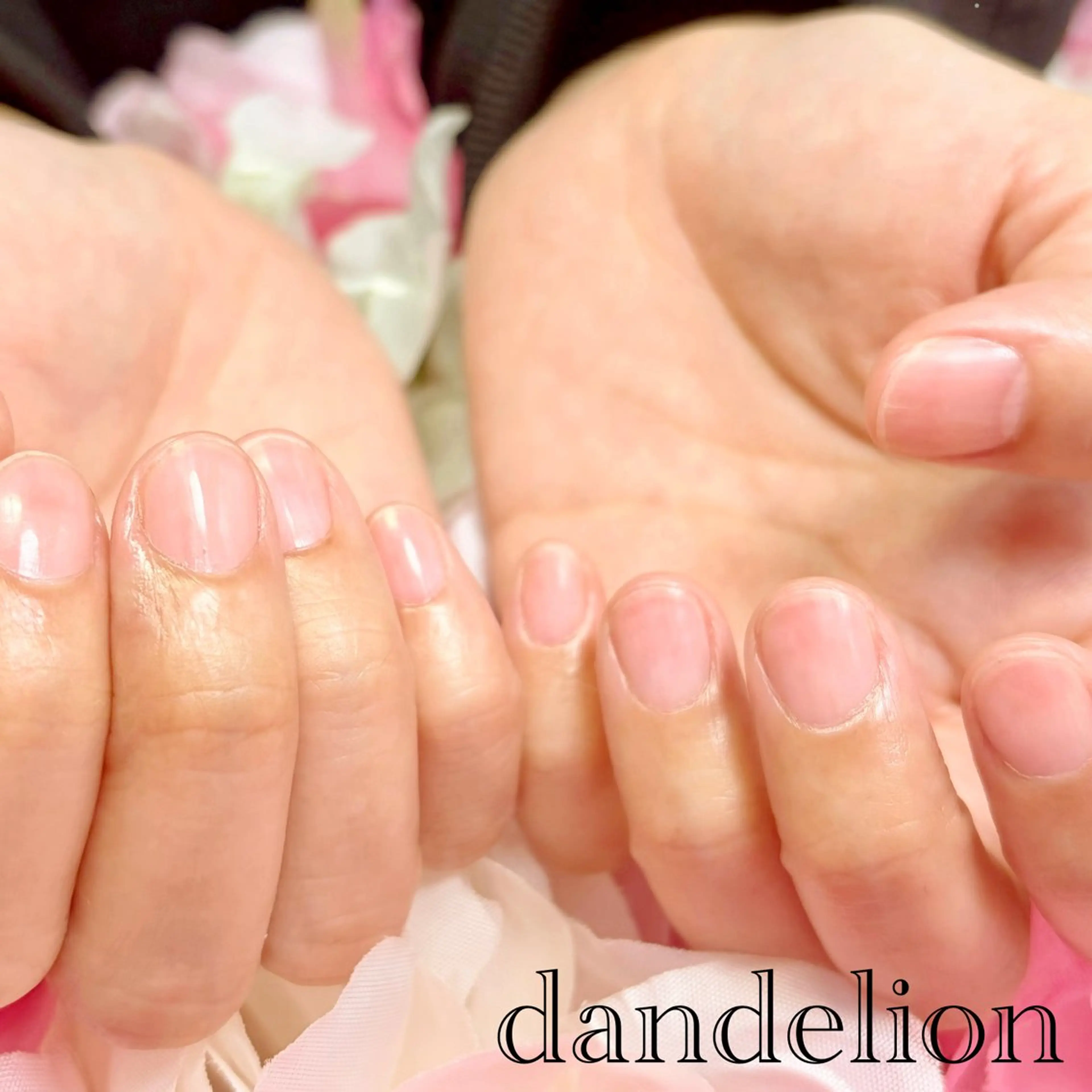 ネイル ハンドケア dandelion ダンデライオンのネイルデザイン