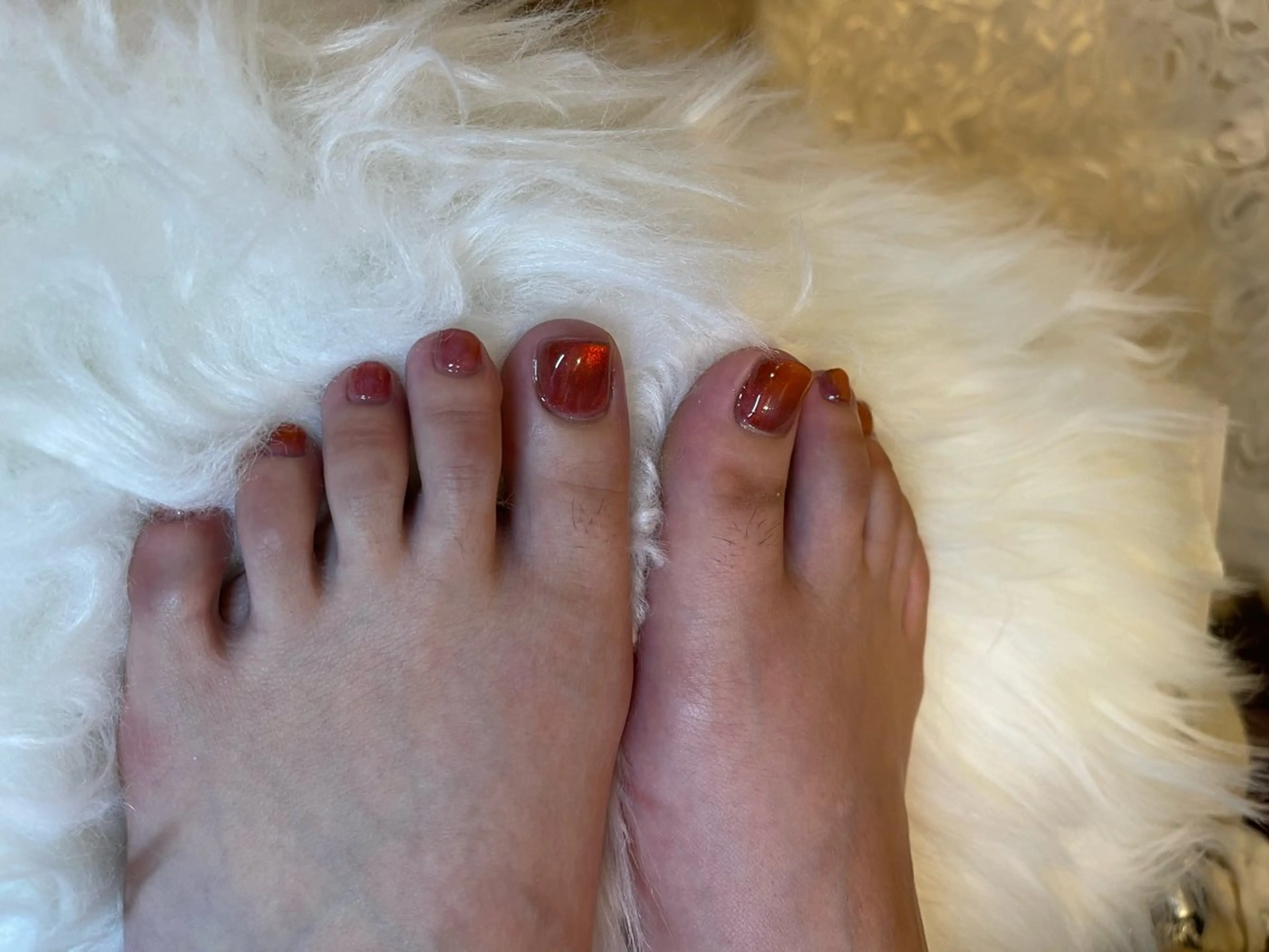 ネイル フットネイル マグネットネイル マグネットワンカラー ワンカラーネイル Amys nail エミのネイルデザイン