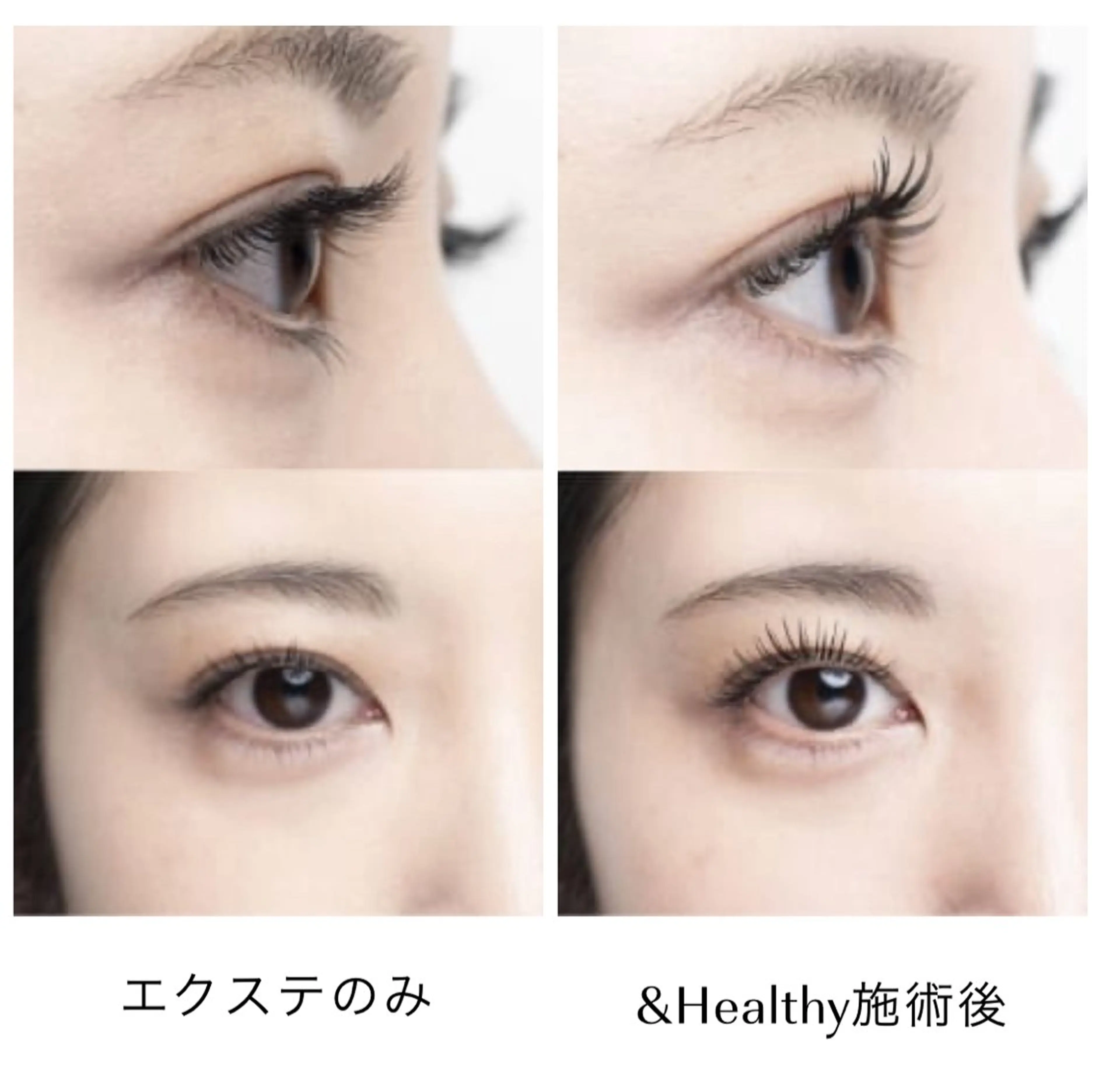 ミニモ限定✨️＆healthy【フラットラッシュ120本&まつ毛パーマ】の写真