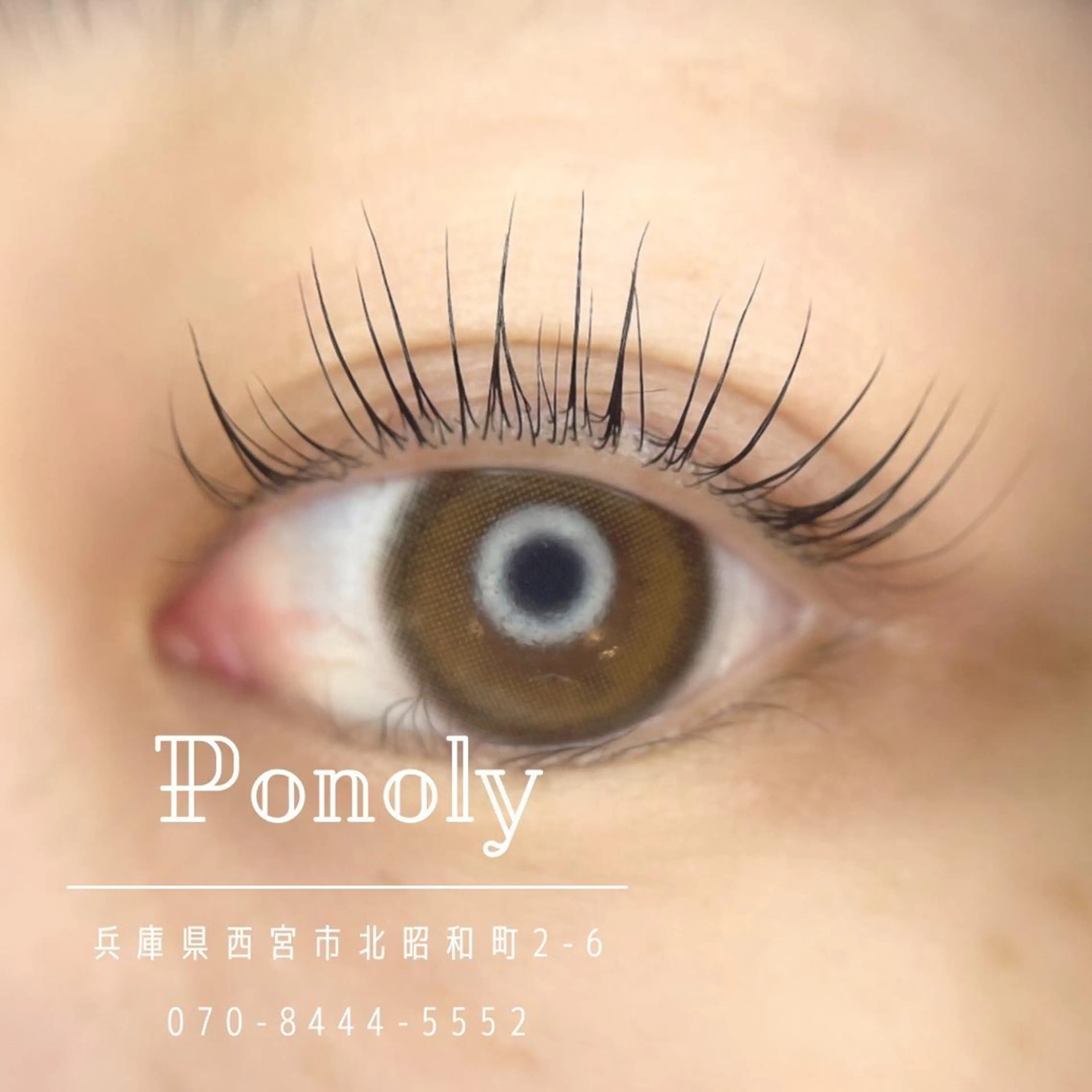 束感を出しやすいデザインまつ毛パーマ✩トリートメント付き！モデル募集！ミニモ限定価格⭐︎の写真