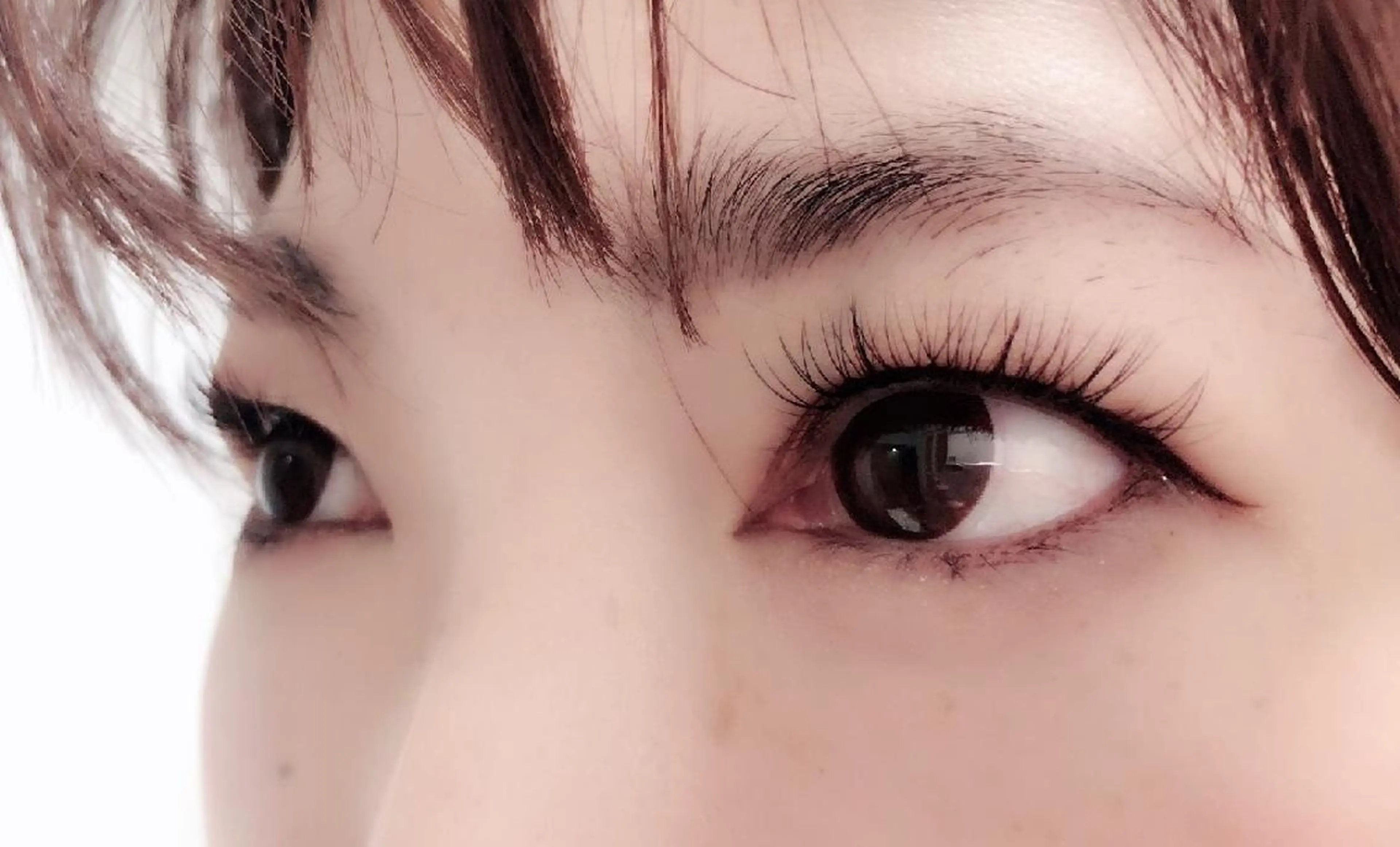 マツエク・マツパ 付け放題 フラットラッシュ ナチュラル セーブル 下まつげエクステ 吉岡 ゆうなのマツエク・マツパデザイン