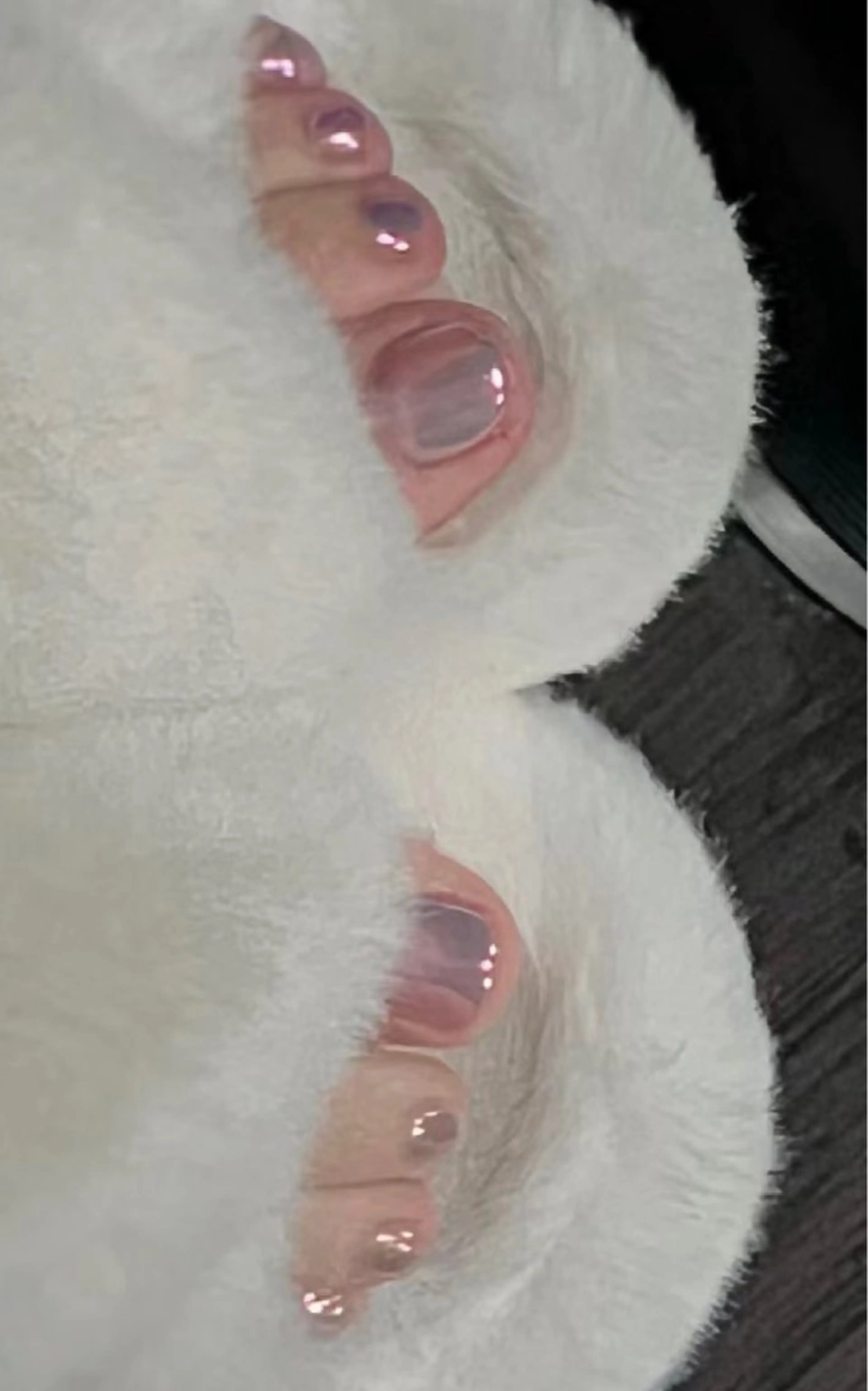 💛フットミラーの写真