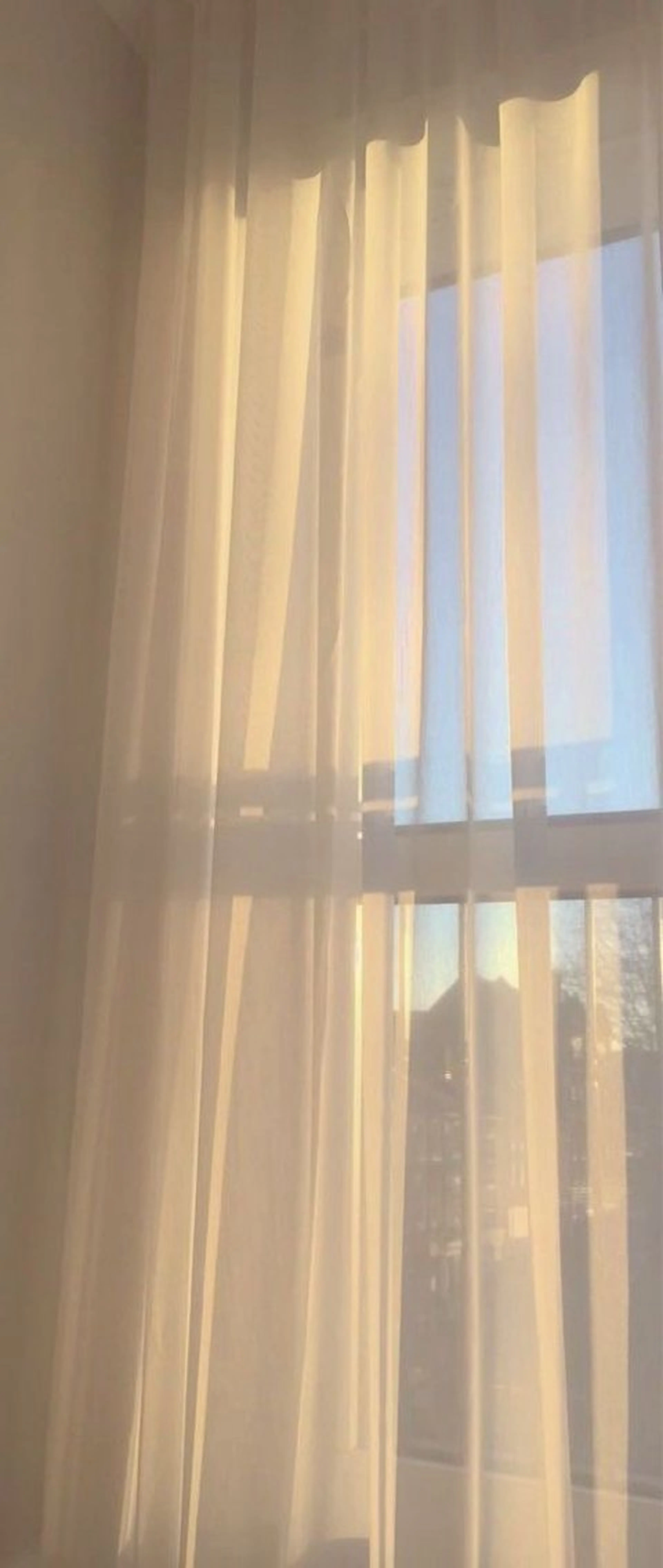 🌿バインドロック120束🌷【再来+¥500】の写真