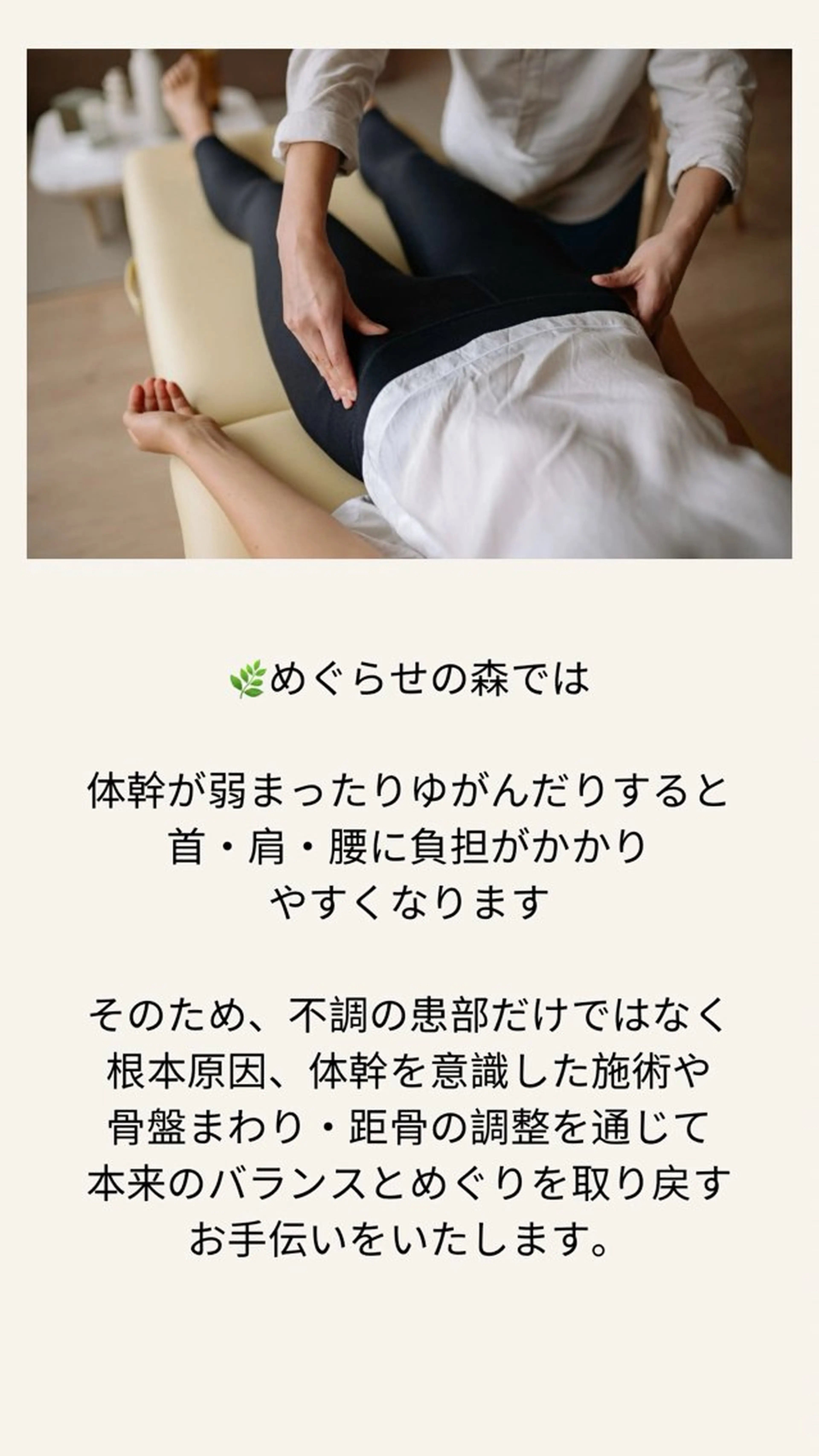 めぐらせの 森のその他イメージ