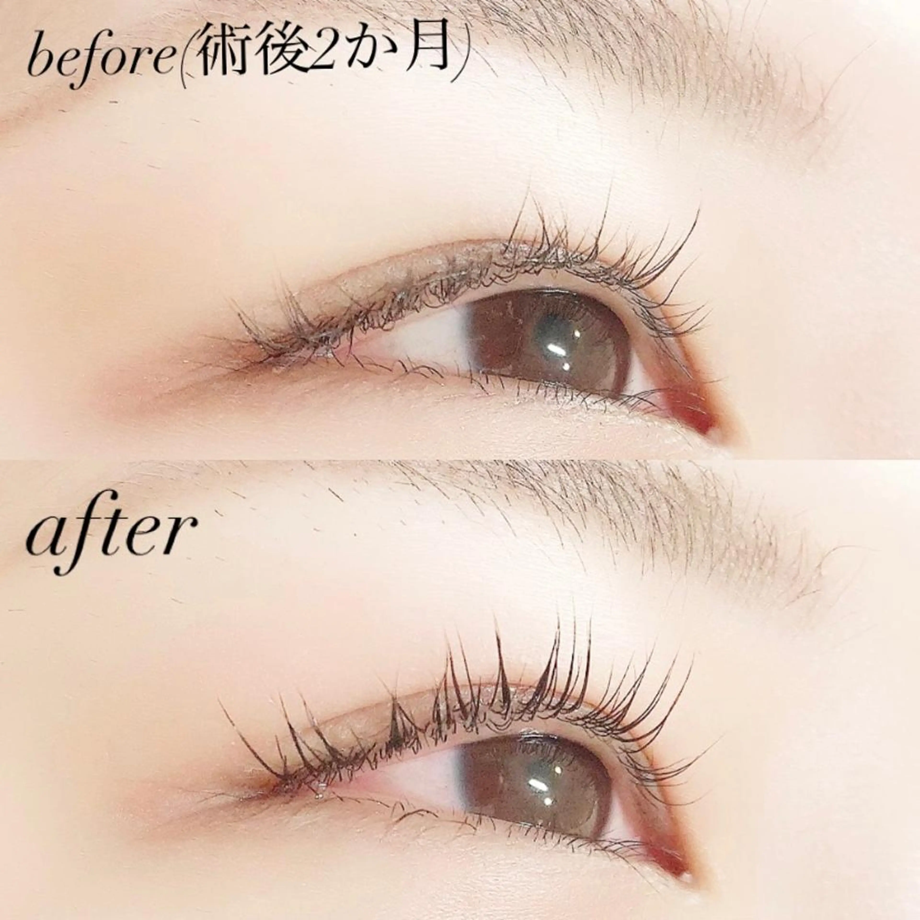 マツエク・マツパ 一重×まつ毛パーマ Lanhr所属・【Lanhr】 🕊aya🕊のマツエク・マツパデザイン