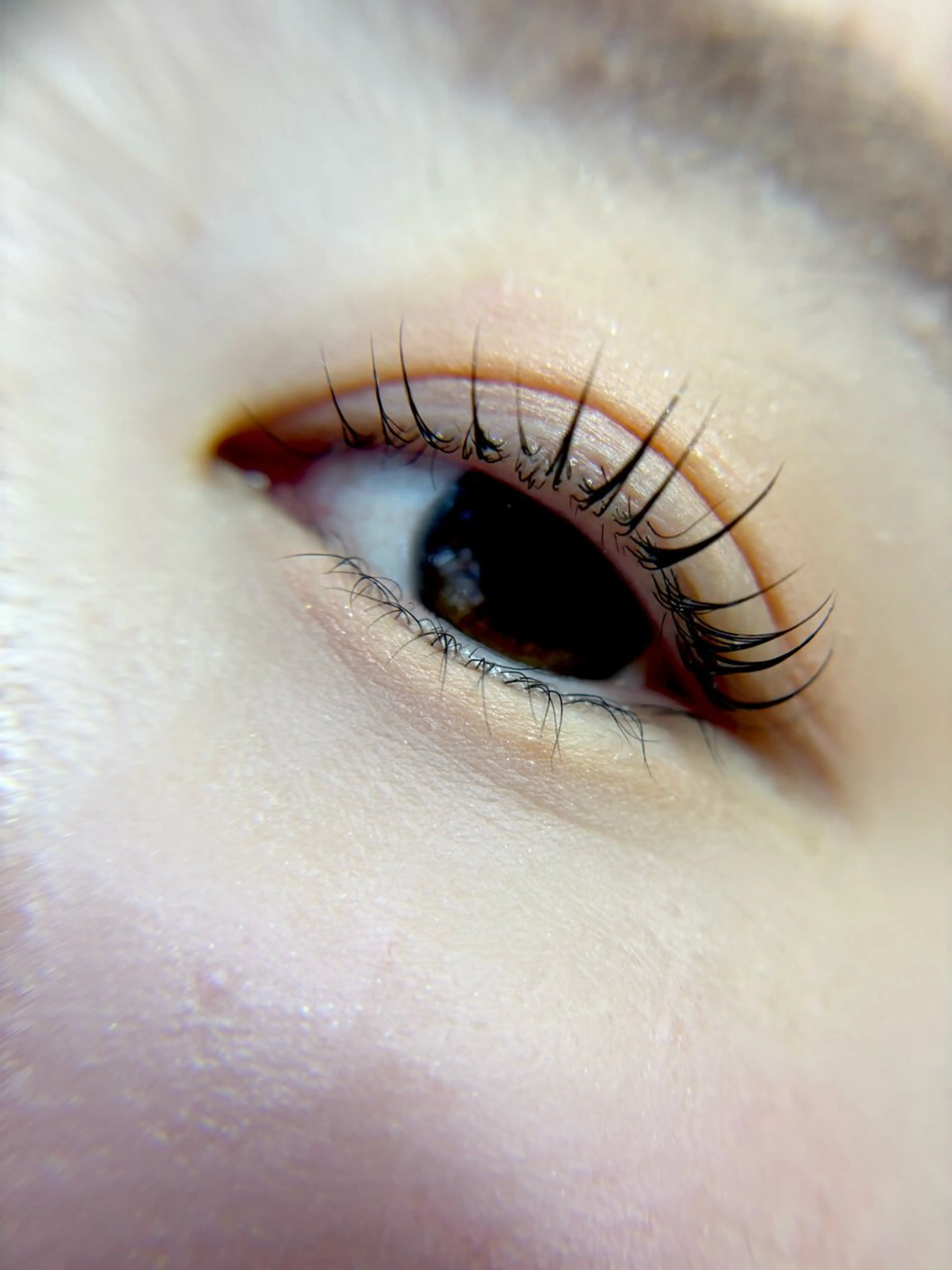 マツエク・マツパ 一重×まつ毛パーマ ORTENSIA 六本松のマツエク・マツパデザイン