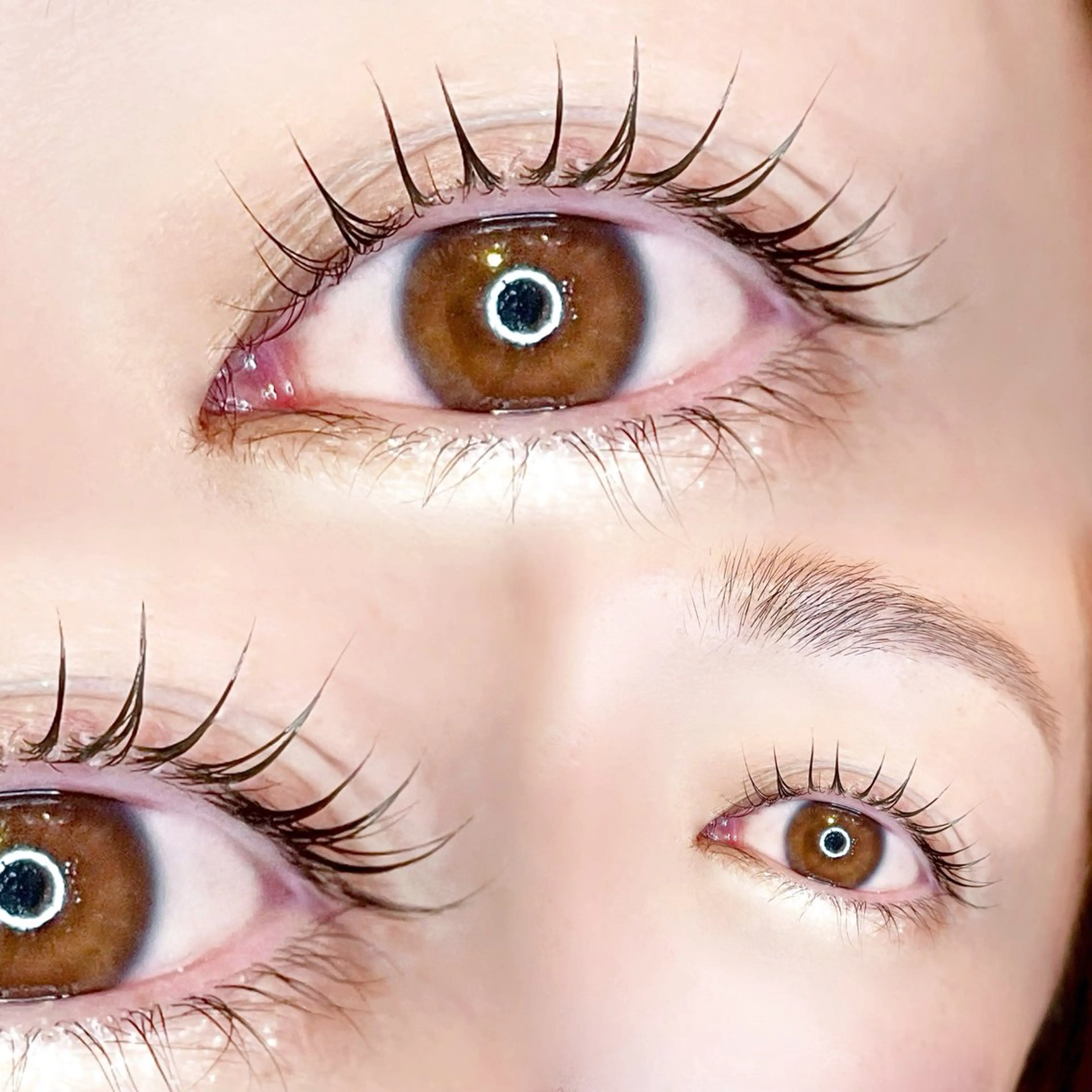 🌹上まつげパーマ🌹自まつげをカールさせます👀の写真