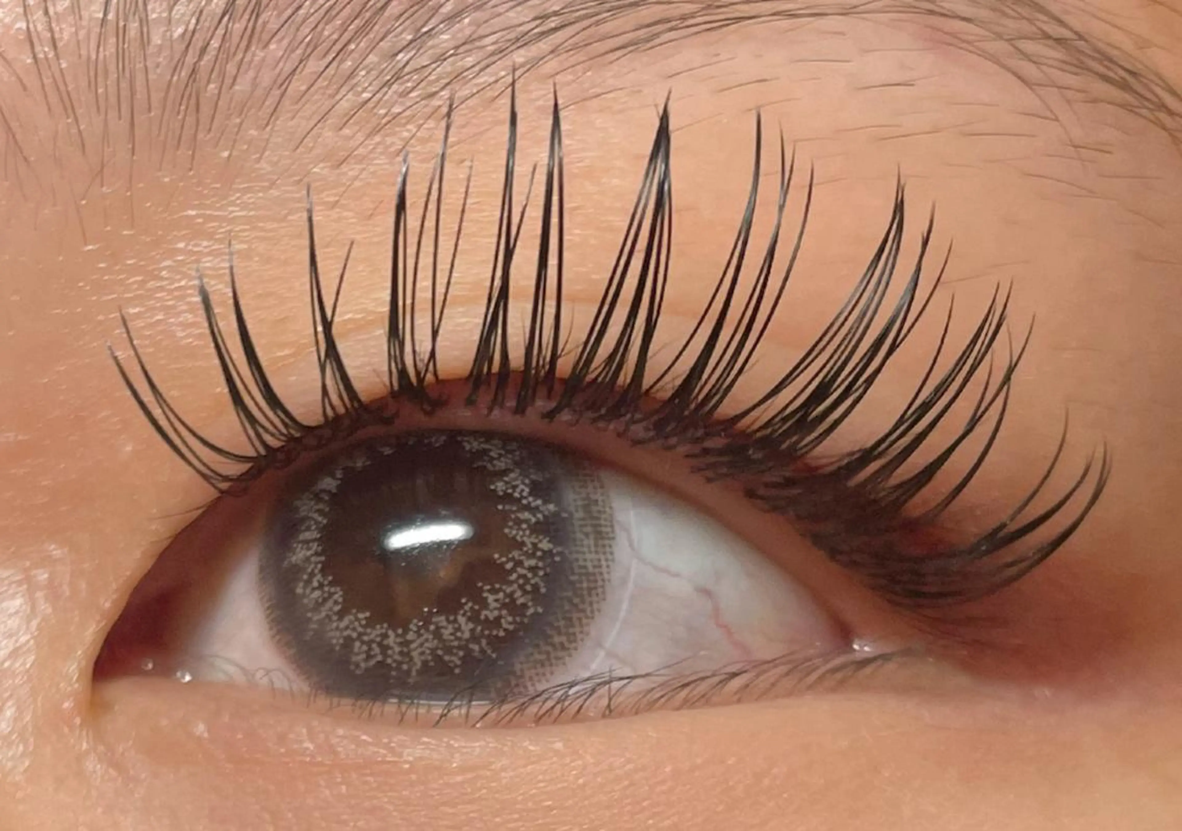 マツエク・マツパ 付け放題 マツエク princess 森 碧海のマツエク・マツパデザイン