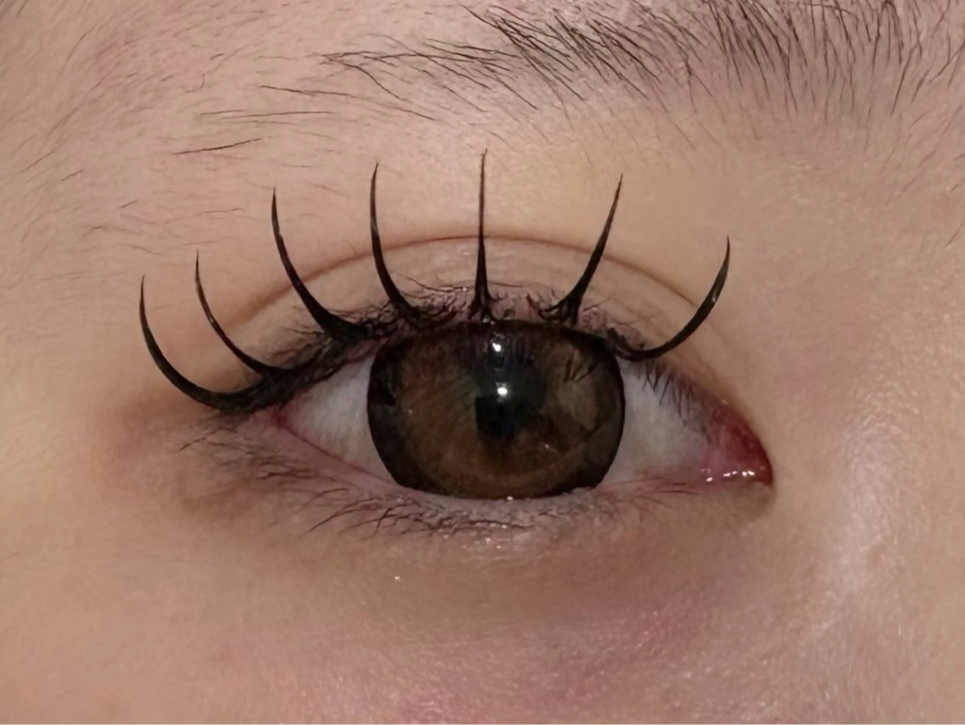 マツエク・マツパ マツエク eight misaki🦋のその他イメージ