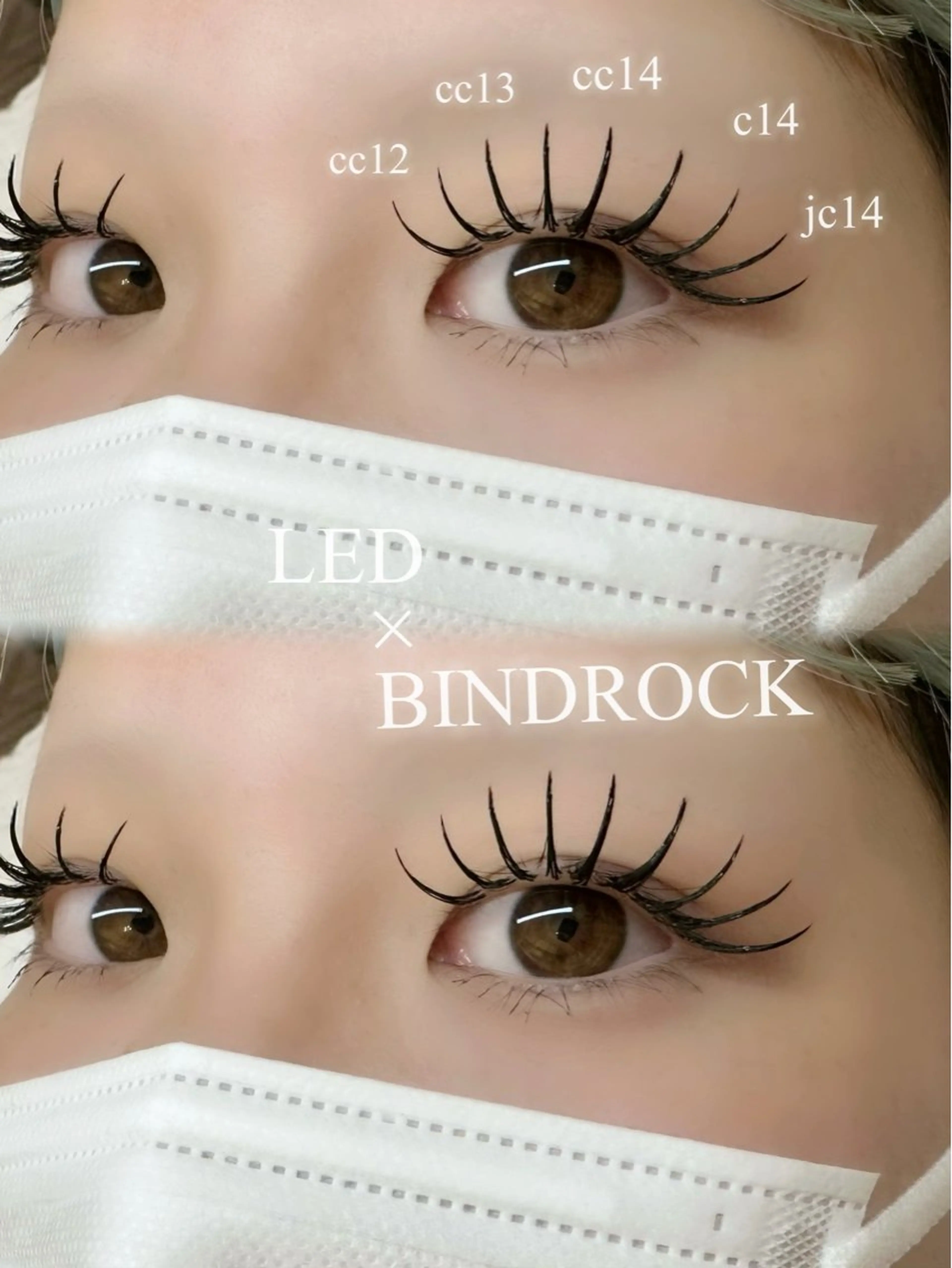 【OPEN価格】バインドロック 100束(200本)¥6600の写真