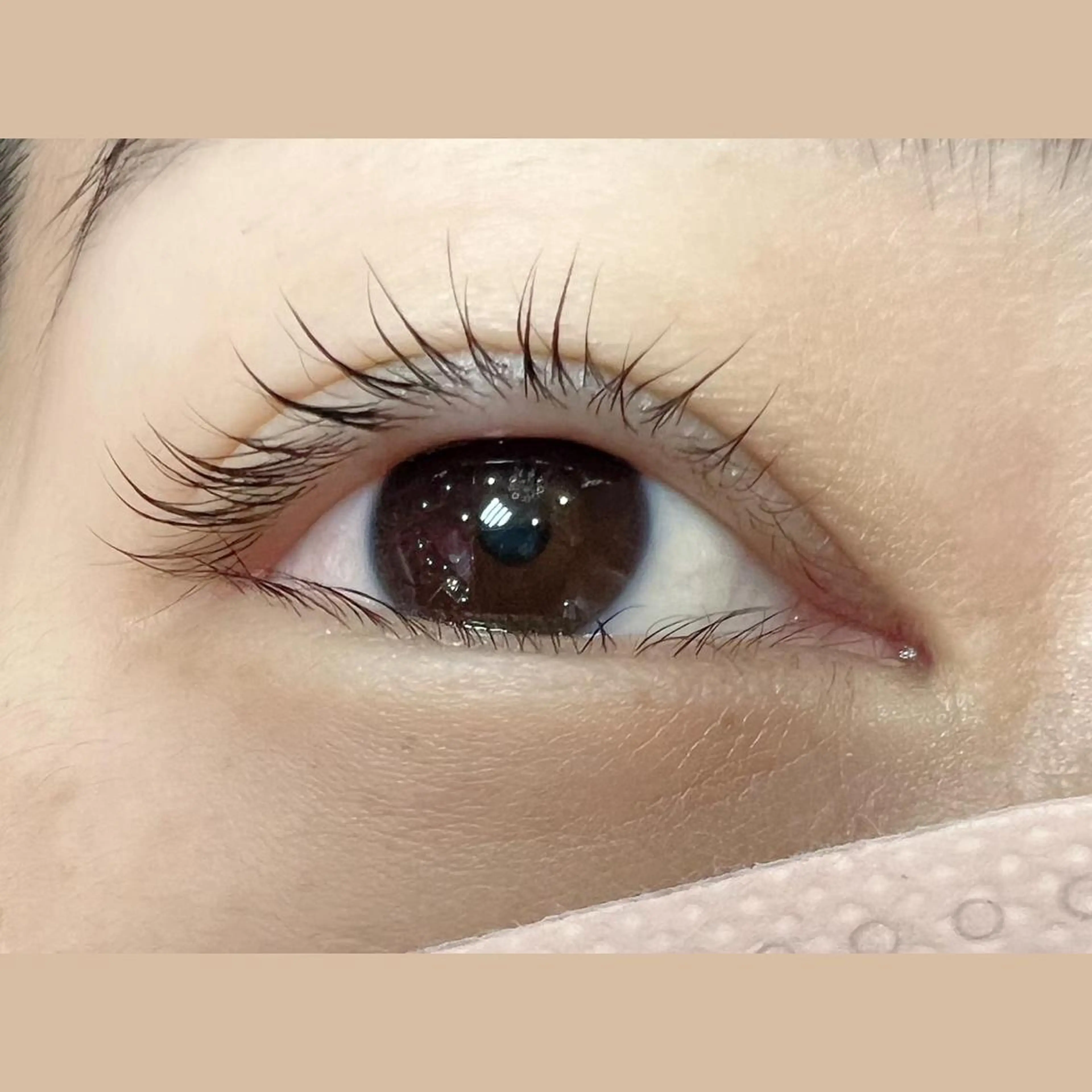 マツエク・マツパ まつげパーマ 一重×まつ毛パーマ 藤川 瑛梨奈のマツエク・マツパデザイン