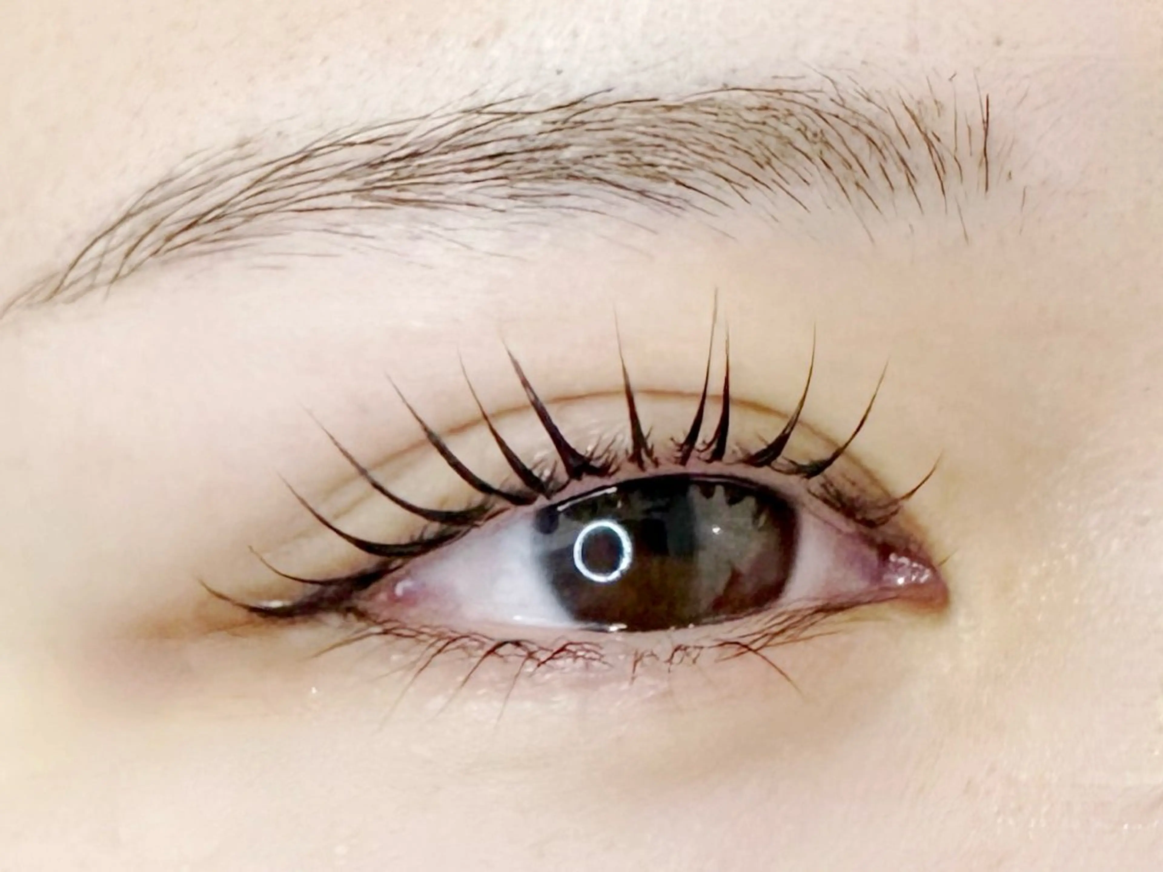 マツエク・マツパ マツパ grey京橋/ 池田のマツエク・マツパデザイン