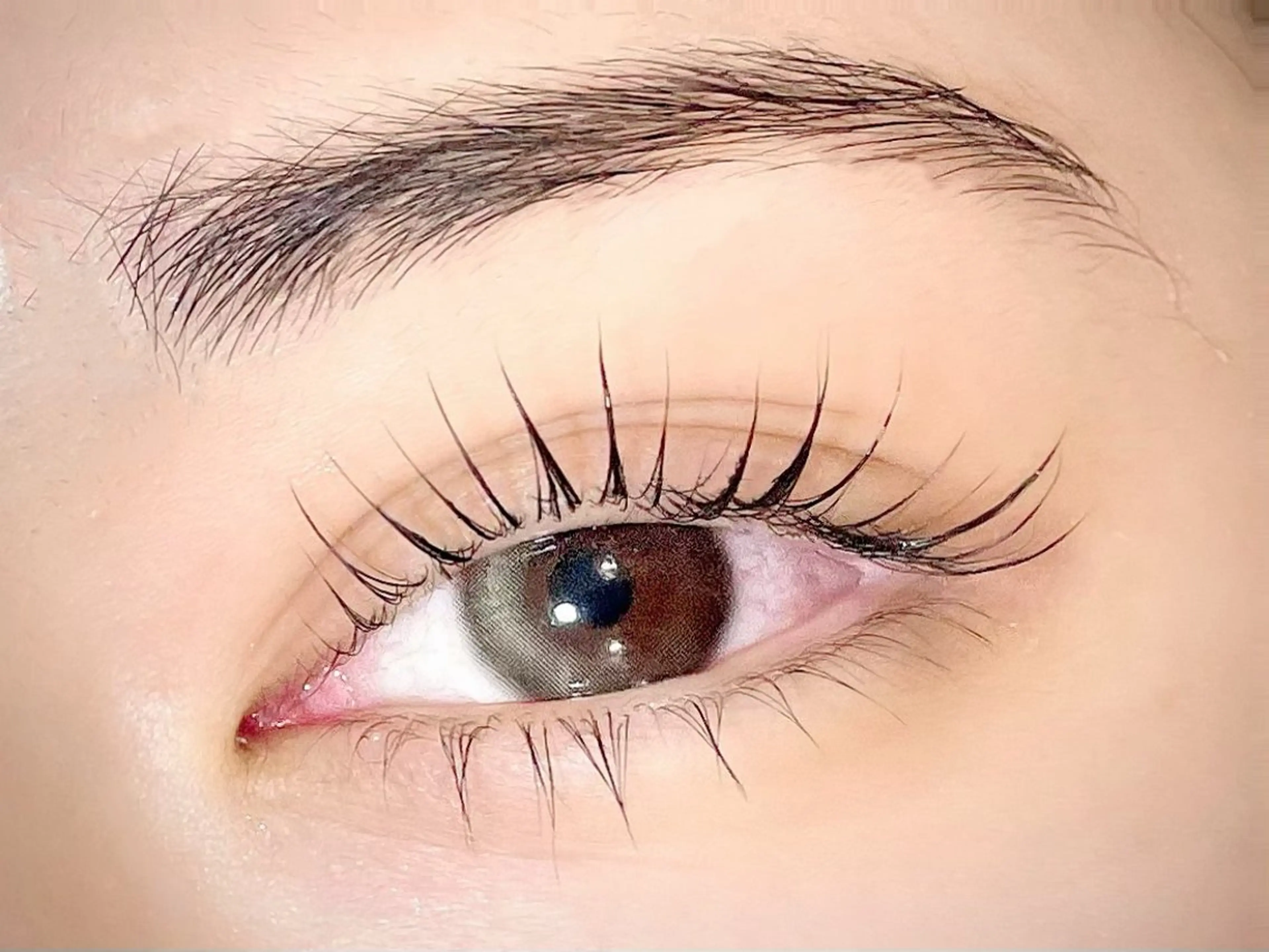 パリ、似合わせどちらも可能🪷coating、トリートメント付き🫧上下lash lift✨の写真