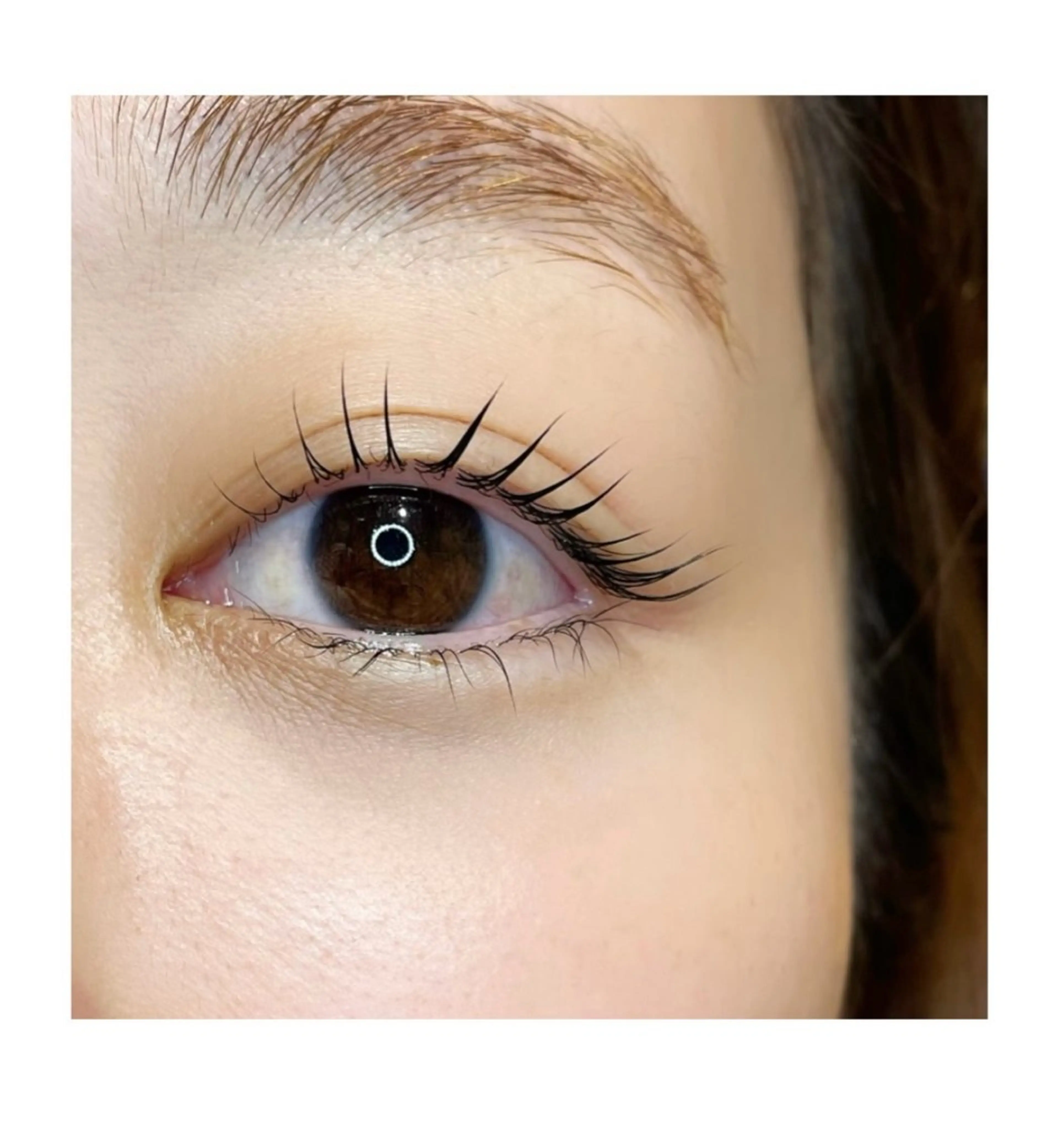 マツエク・マツパ カルフールノア　府中所属・まつげパーマ専門店 /カルフールノア府中の眉毛・アイブロウイメージ