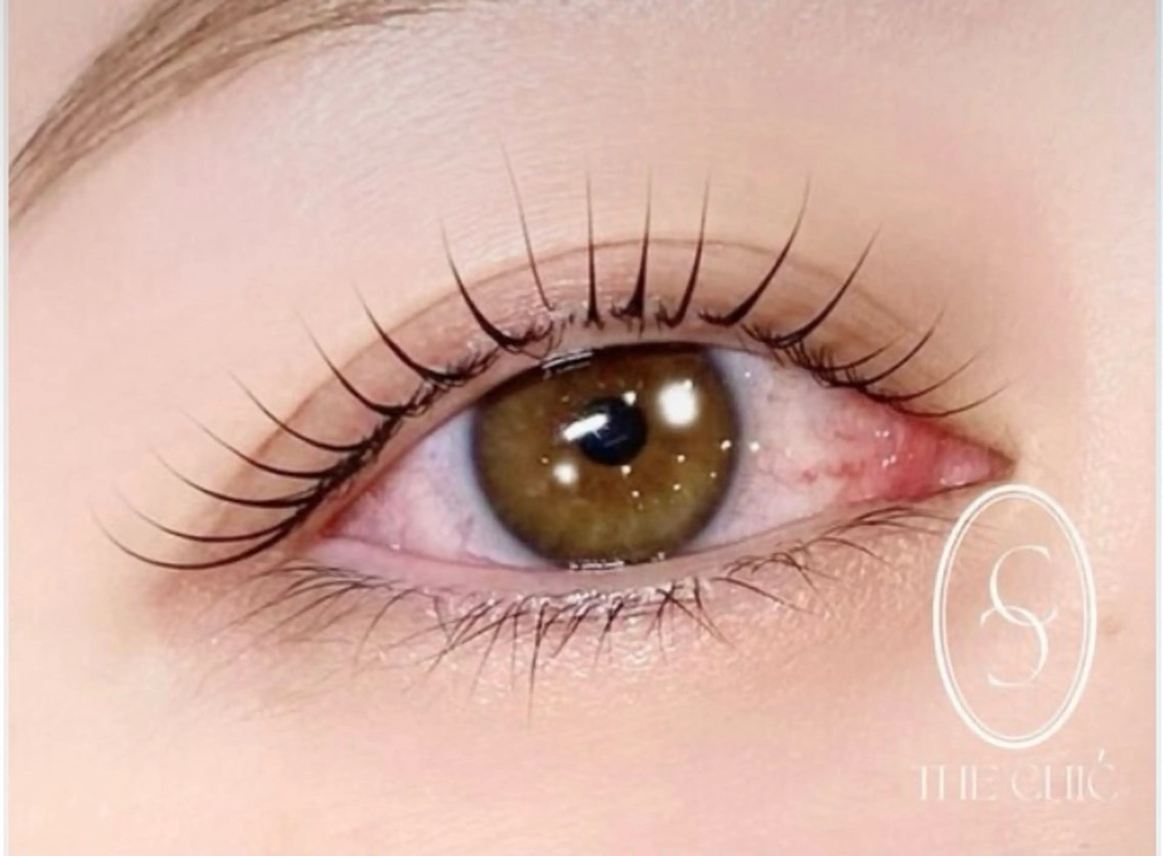 【モデル価格】🫧選べるラッシュリフトorパリジェンヌラッシュリフト🫧の写真