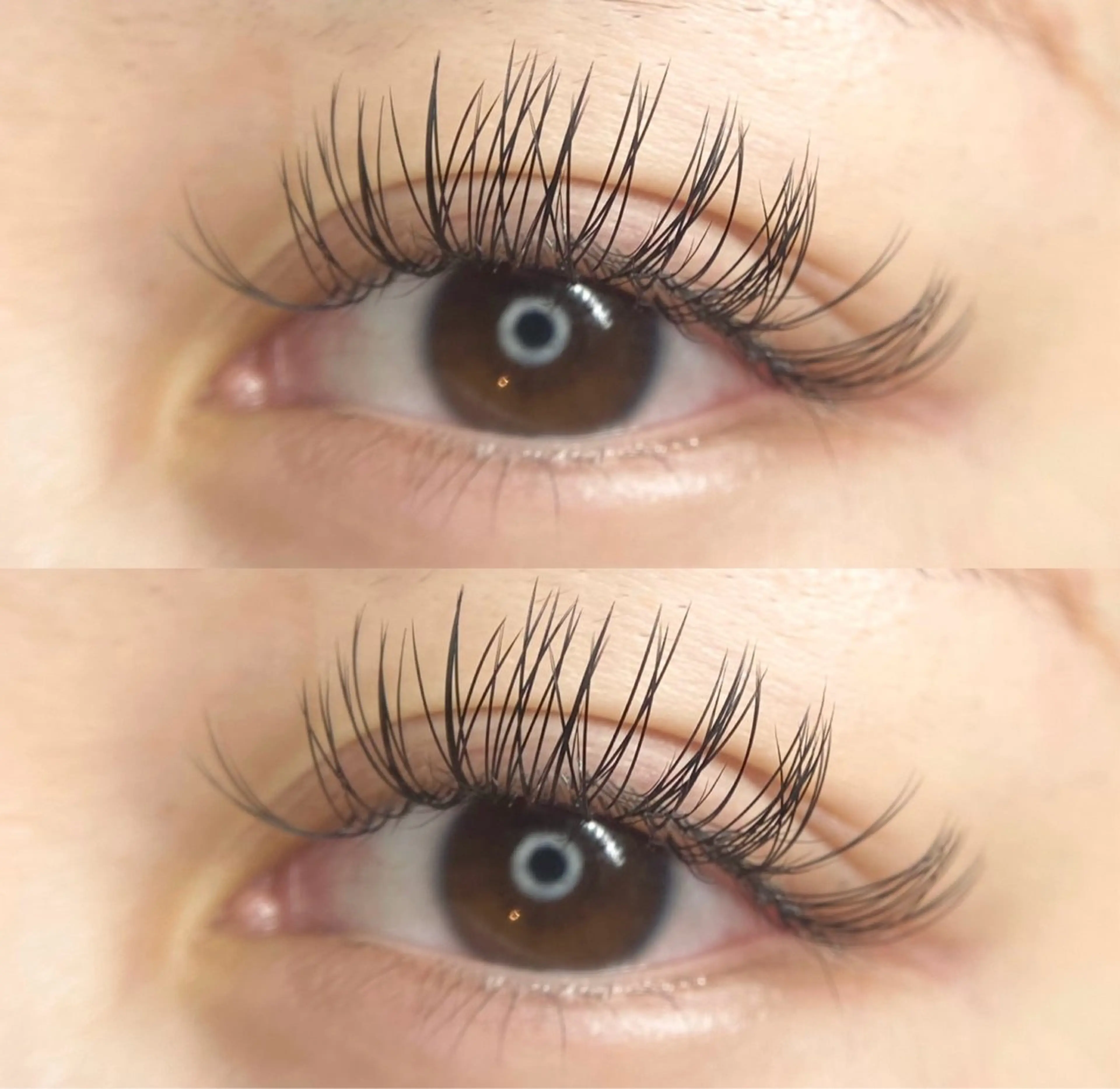 マツエク・マツパ LEDエクステ専門店 Fedis 京橋のマツエク・マツパデザイン