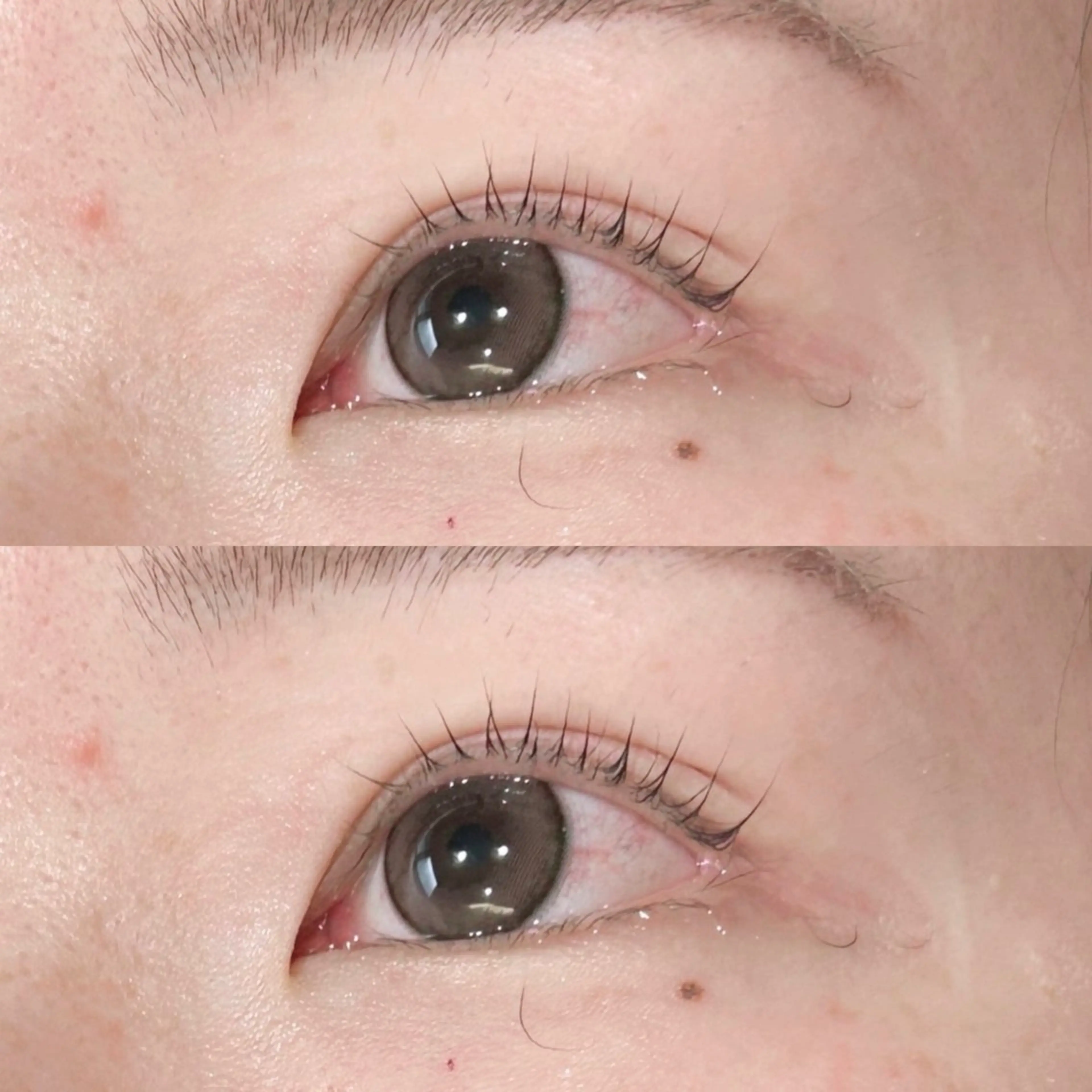 マツエク・マツパ パリジェンヌラッシュリフト マツパ 韓国マツエク/まつパ 🎀misaki🎀のマツエク・マツパデザイン