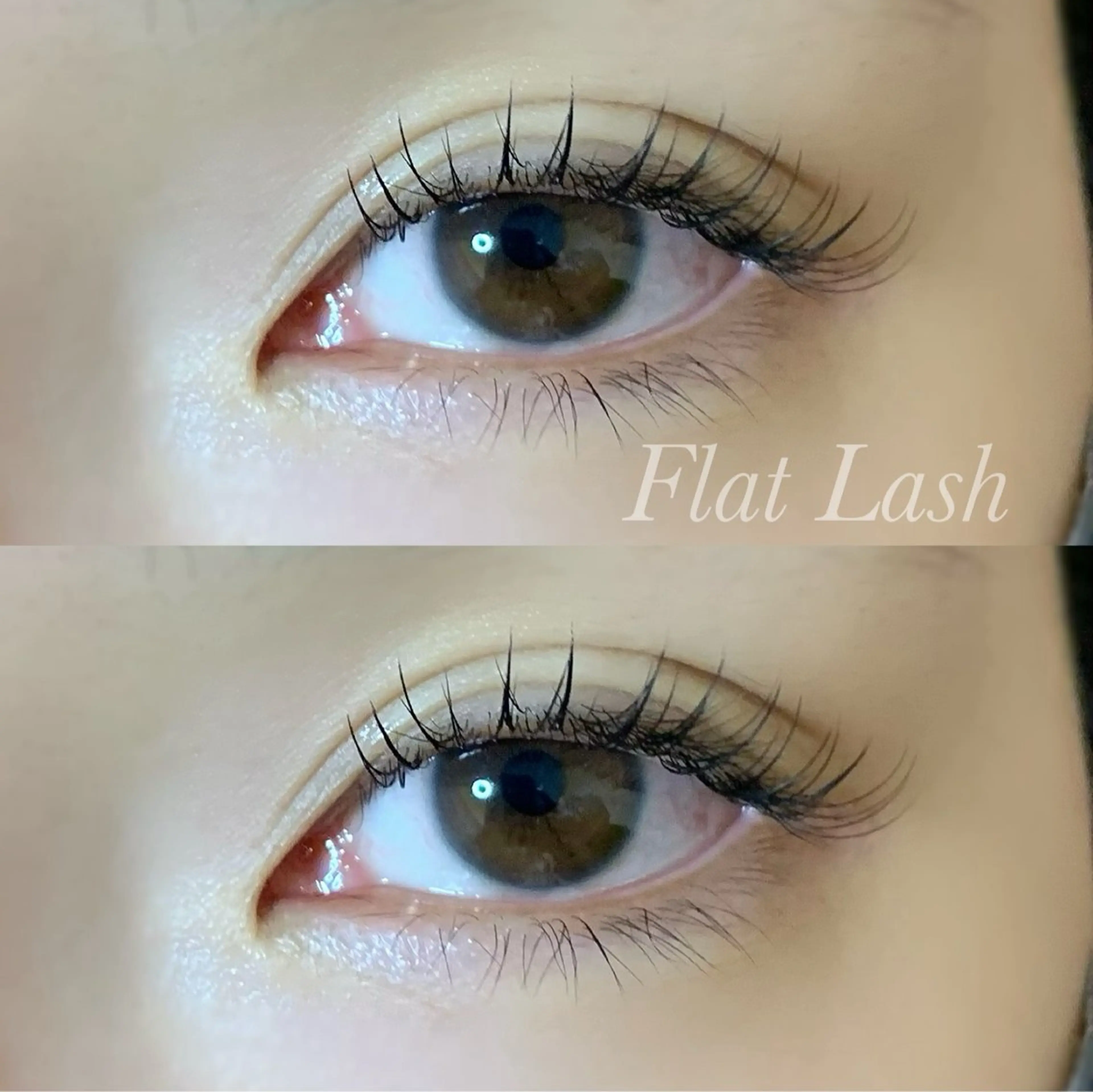 マツエク・マツパ Cカール フラットラッシュ マツエク Ayumi.pro 🍆N《4階》のマツエク・マツパデザイン