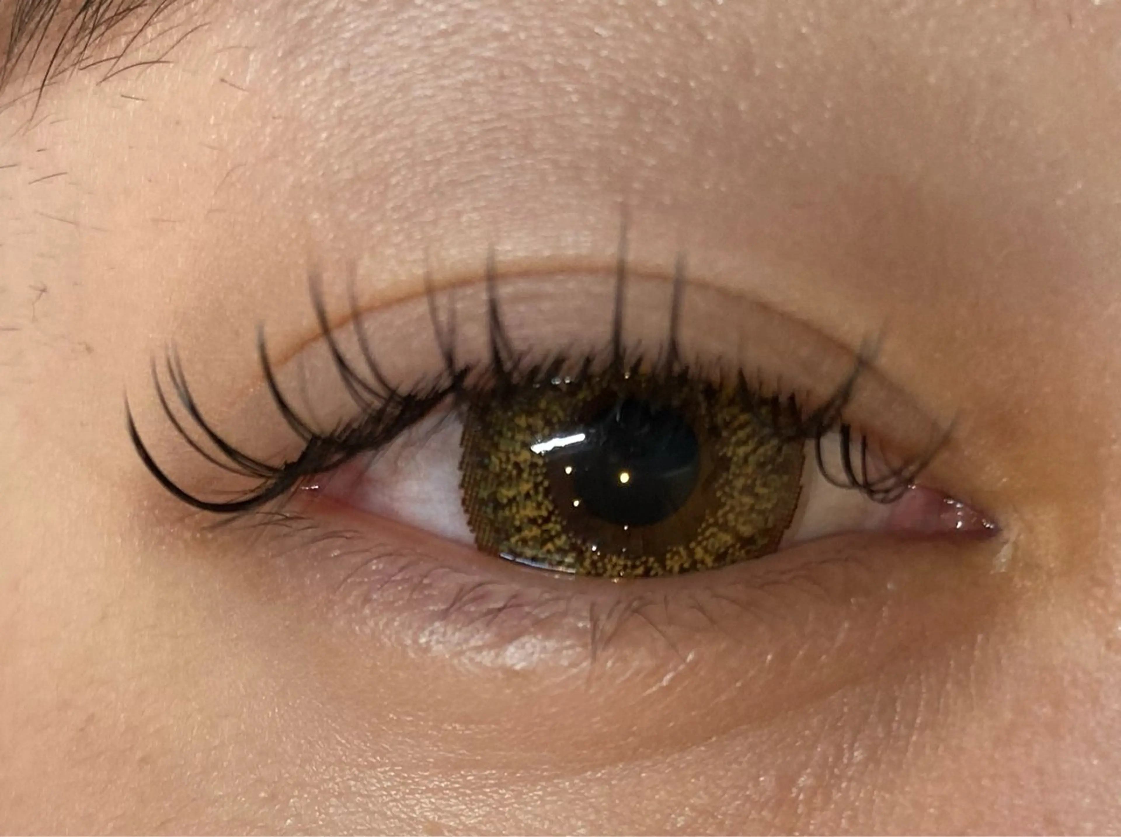 マツエク・マツパ Luana+ Kishiのマツエク・マツパデザイン