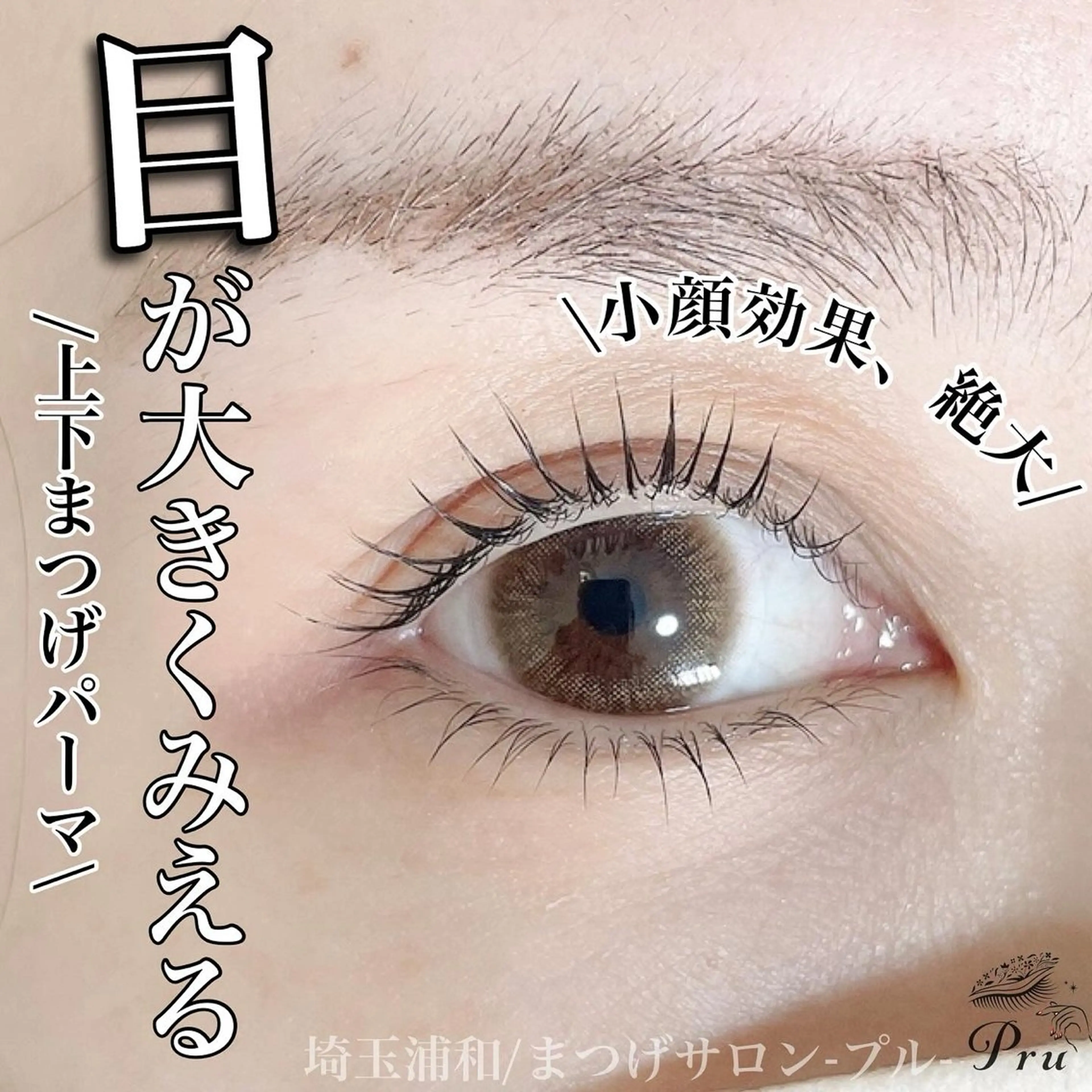 マツエク・マツパ プル eyelashのマツエク・マツパデザイン