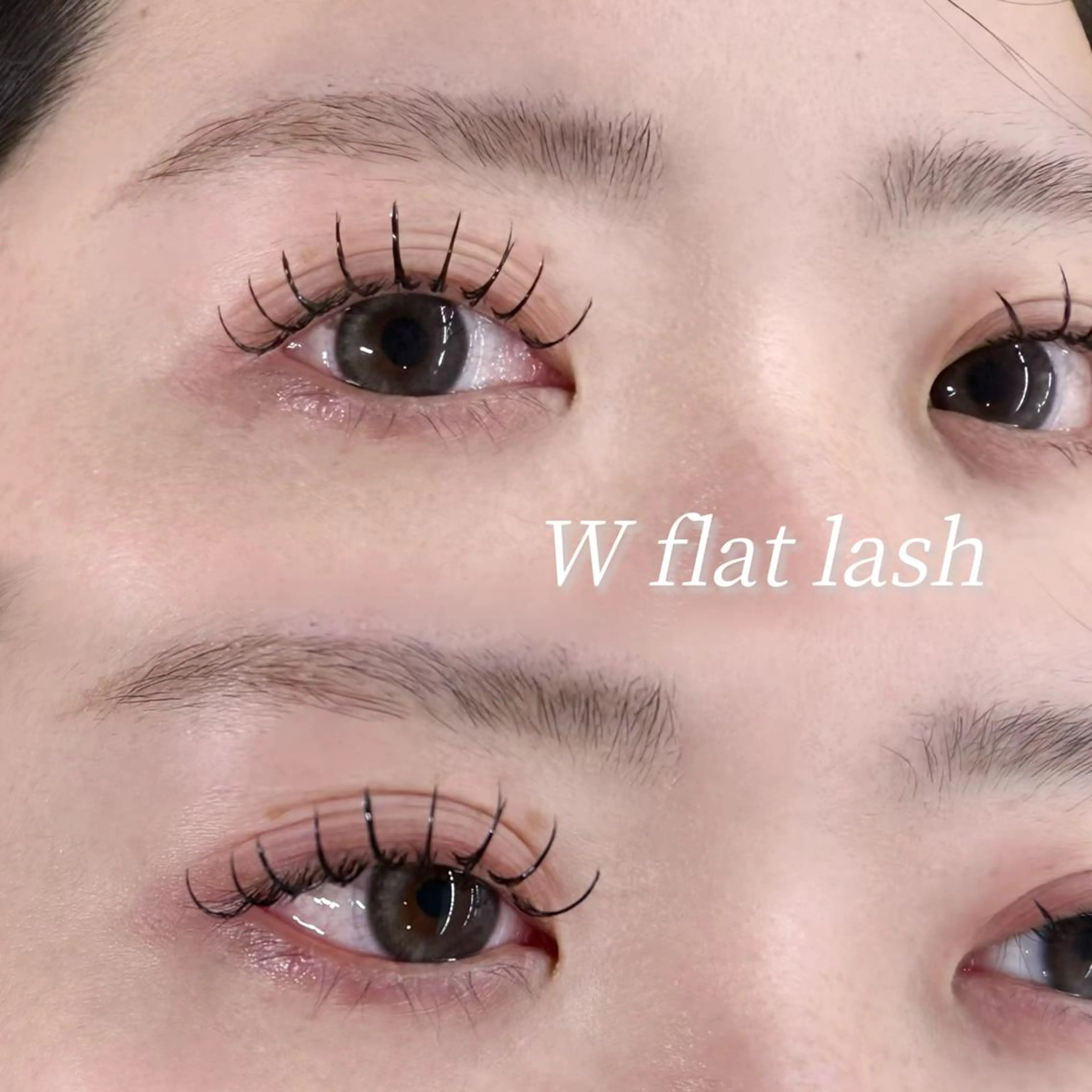 〈1/16限定〉パリエク120本 / オフなしの写真