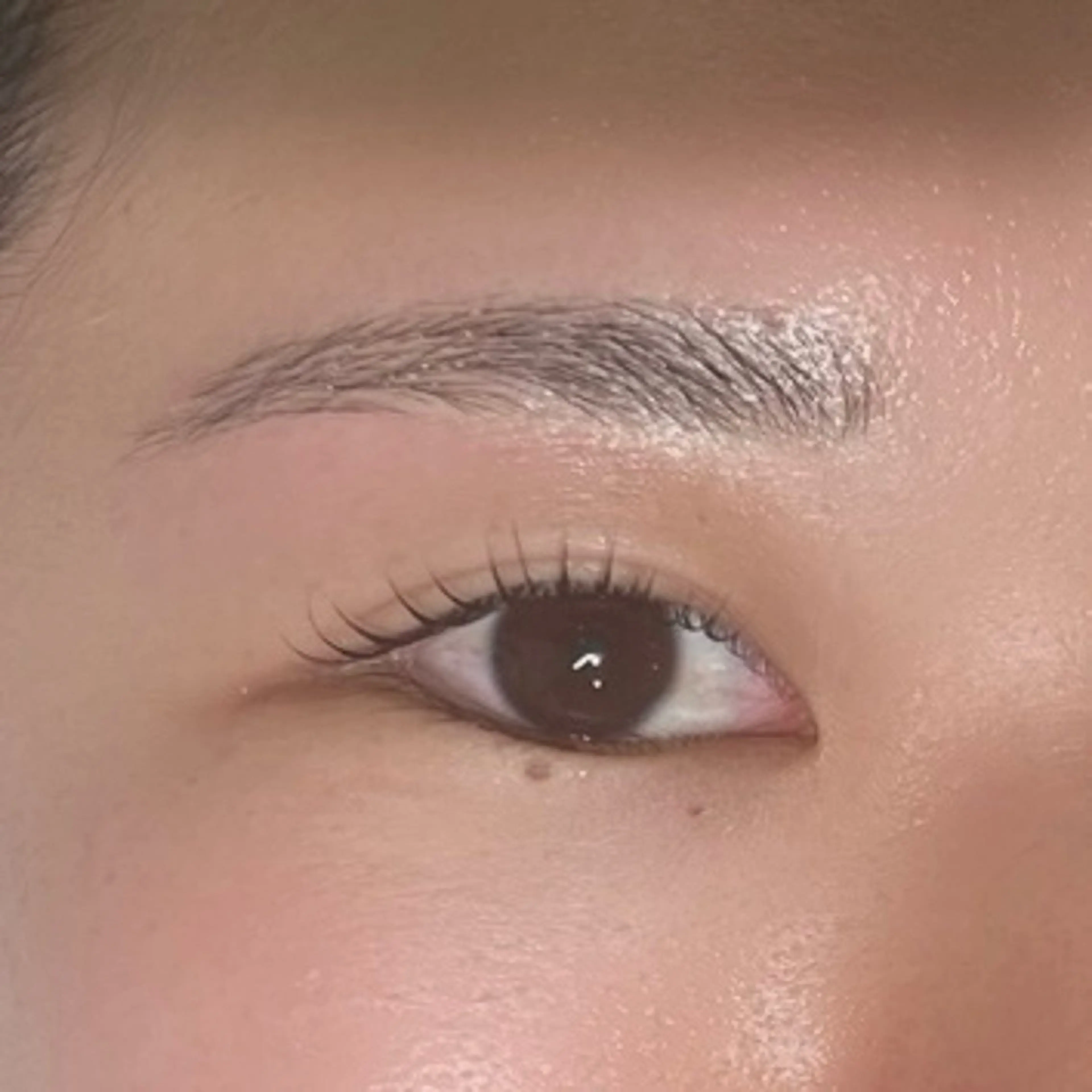 アイブロウ ワックス脱毛 眉カット その他(アイブロウ) eluna ヨシダの眉毛・アイブロウイメージ