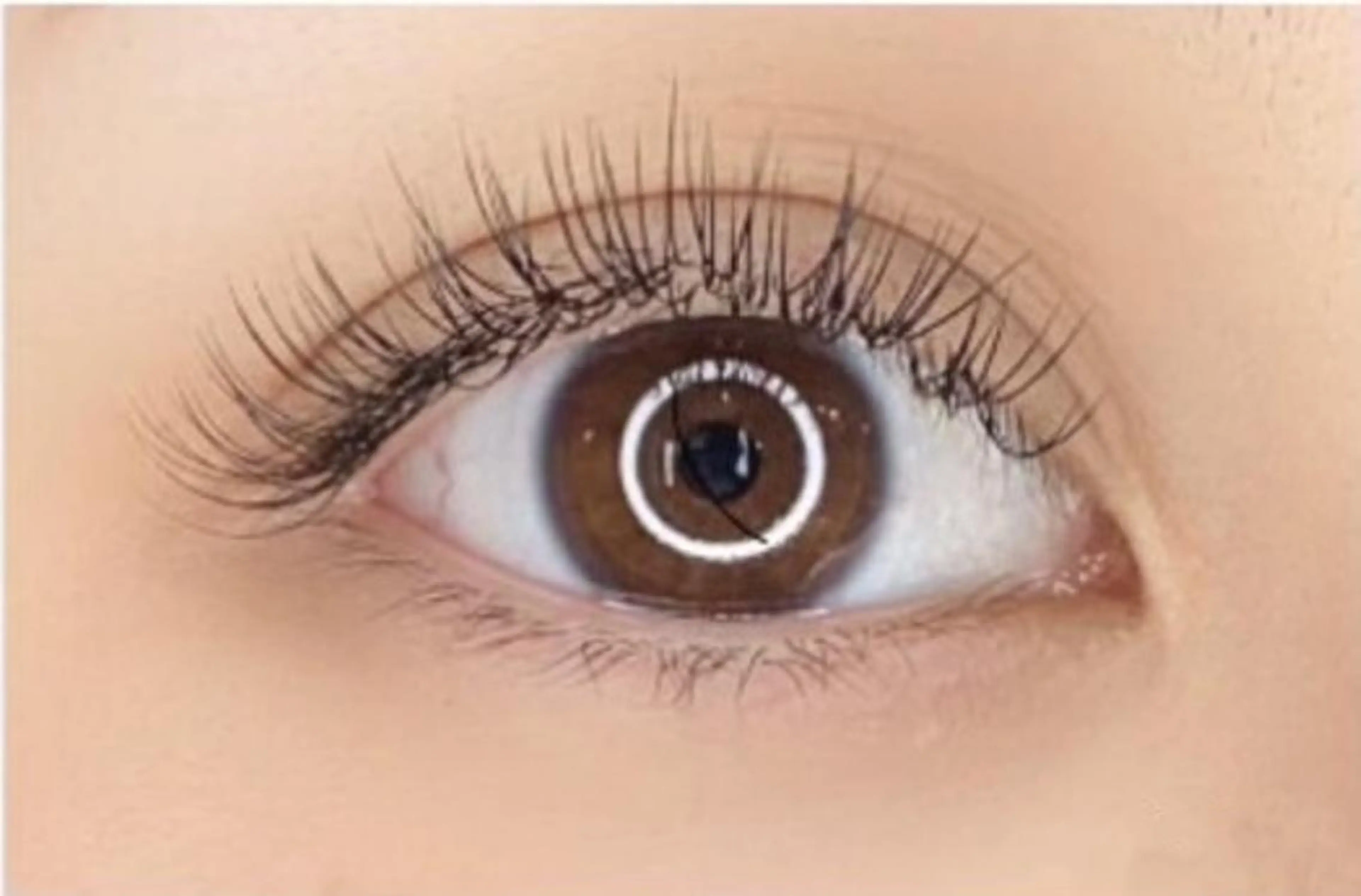 マツエク・マツパ Luana+ Kuroiwaのエステ・リラクイメージ