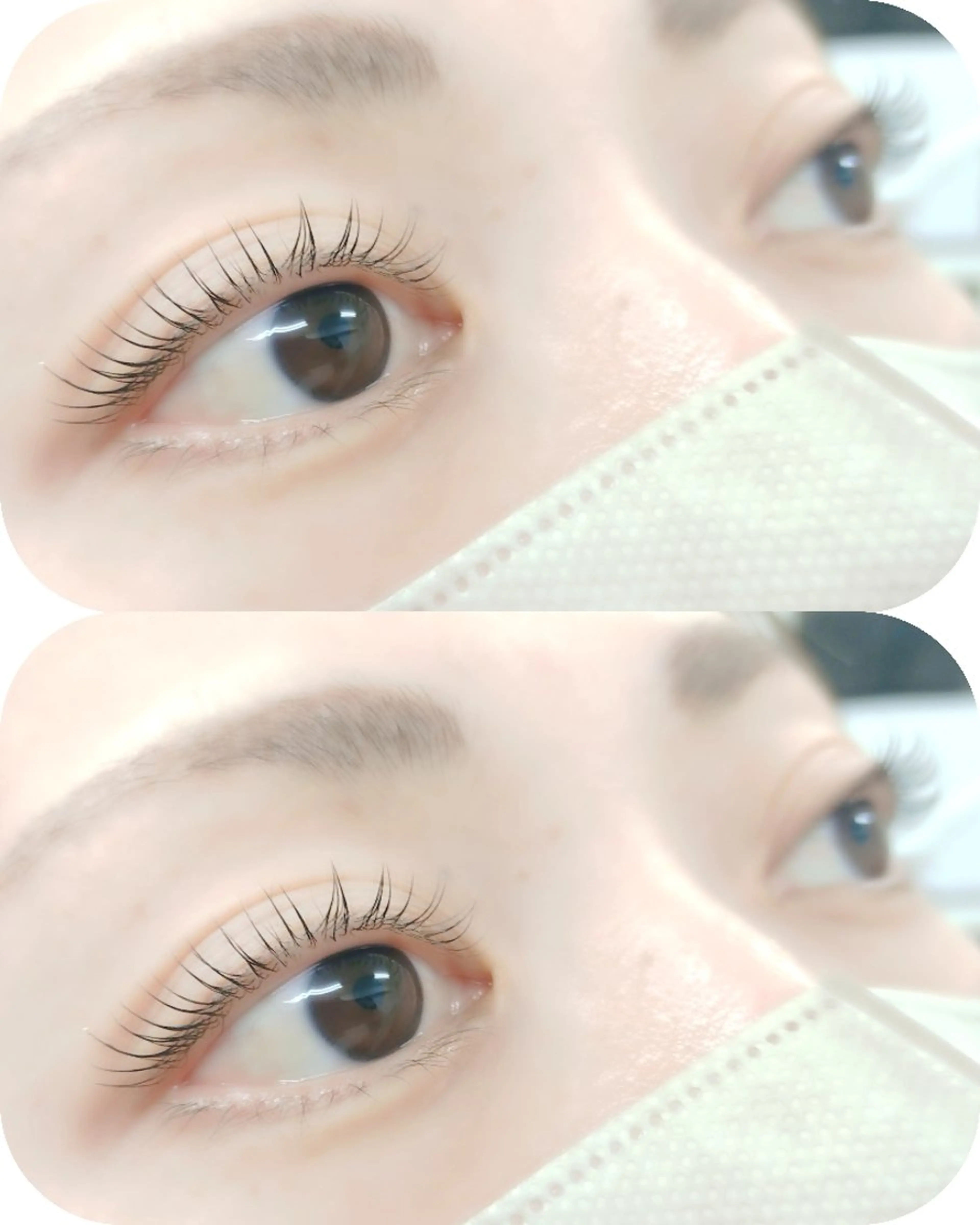 まつげパーマ上下の写真