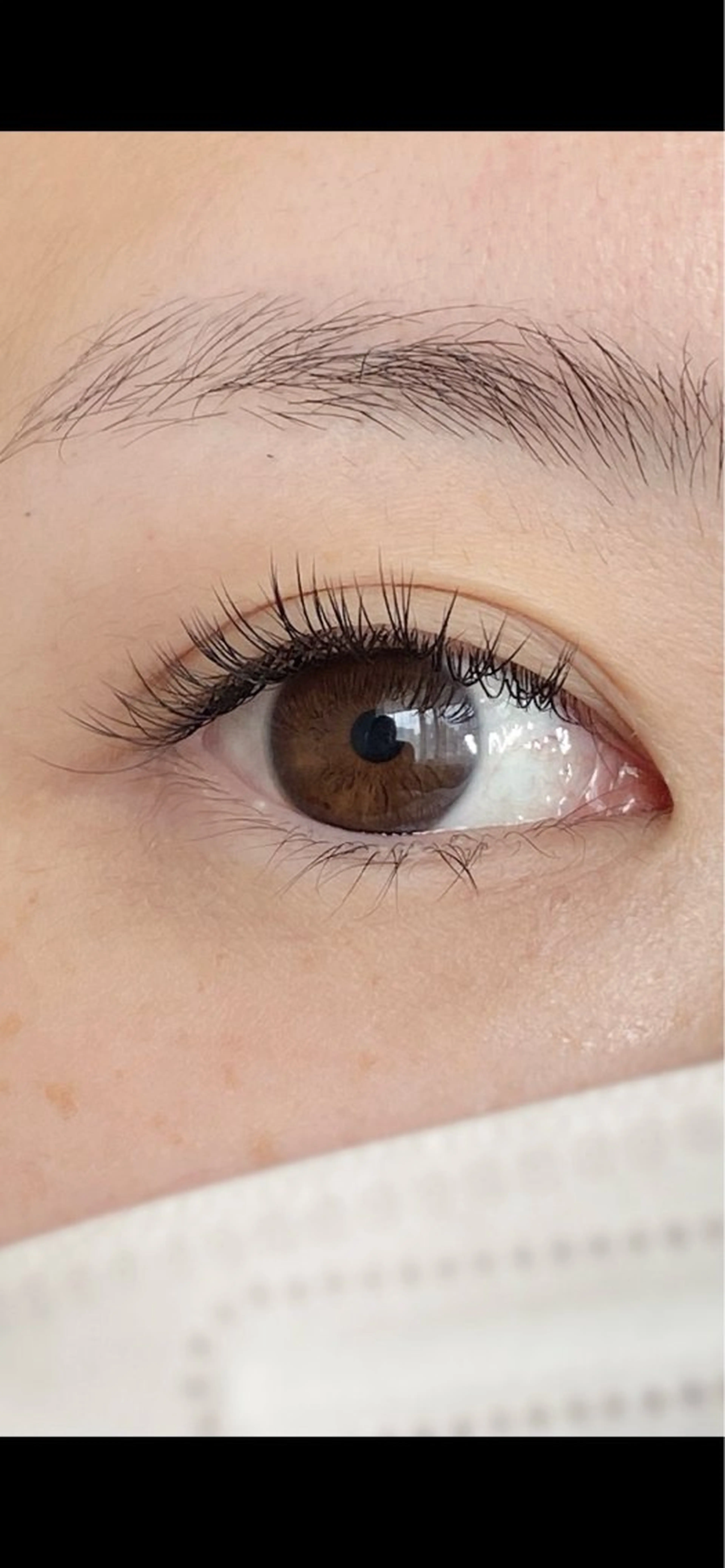 セーブル100本(オフ込み)の写真