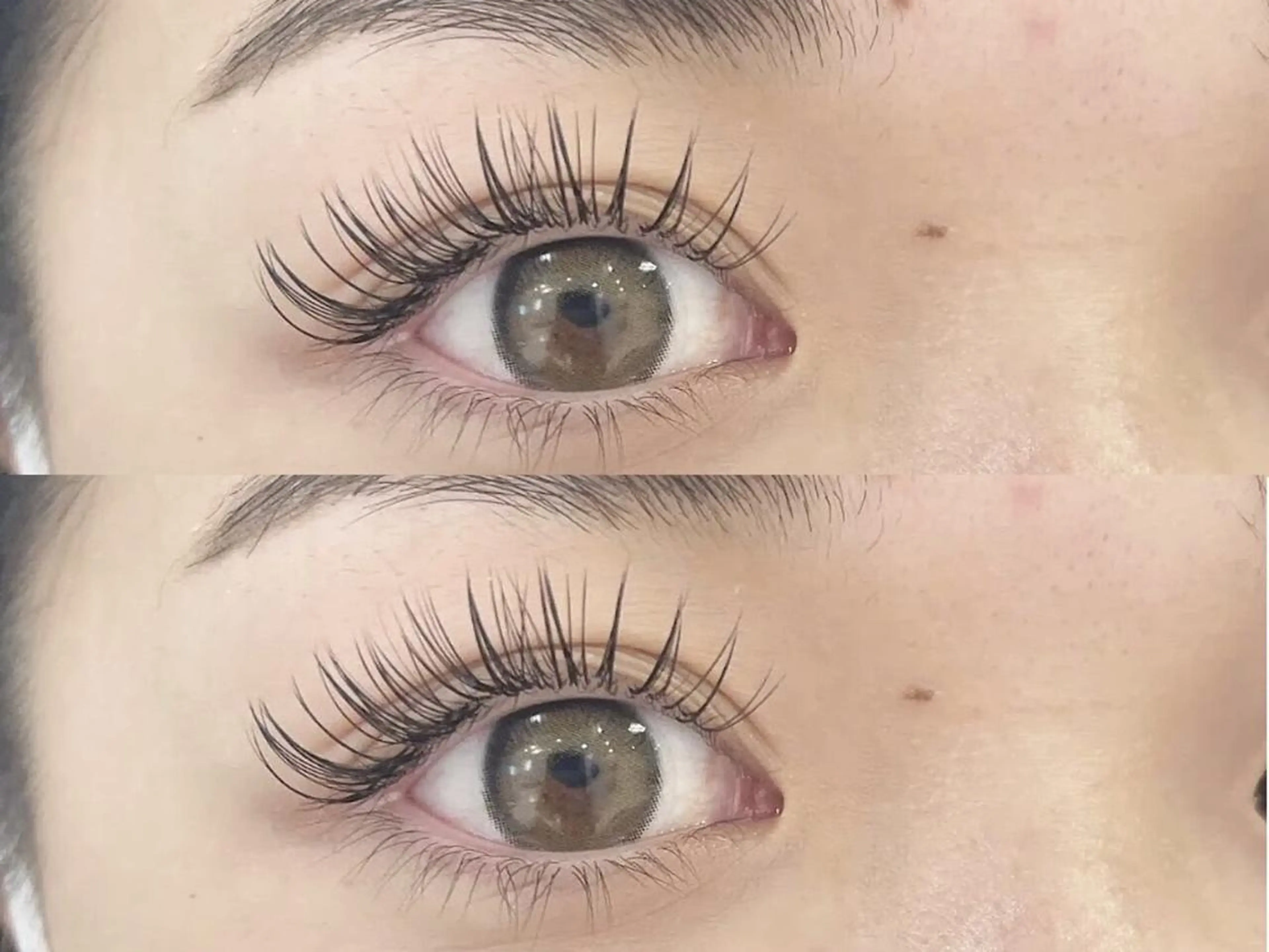 【オフなし🌈】無敵◎濃さと持続力❣️バインドロック💐60束😃の写真