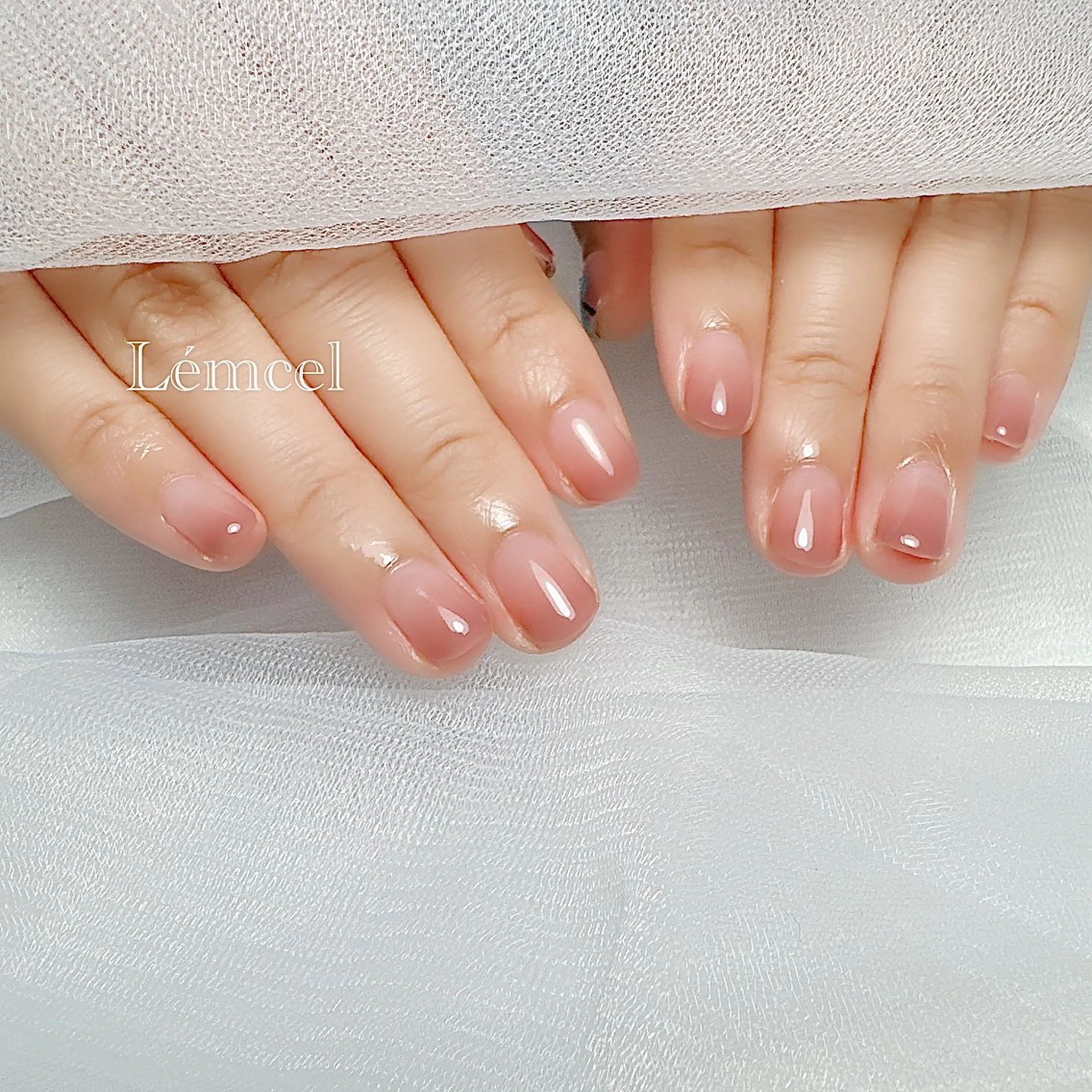 Hand🩶カラーグラデーション(オフ/フィルなし)の写真