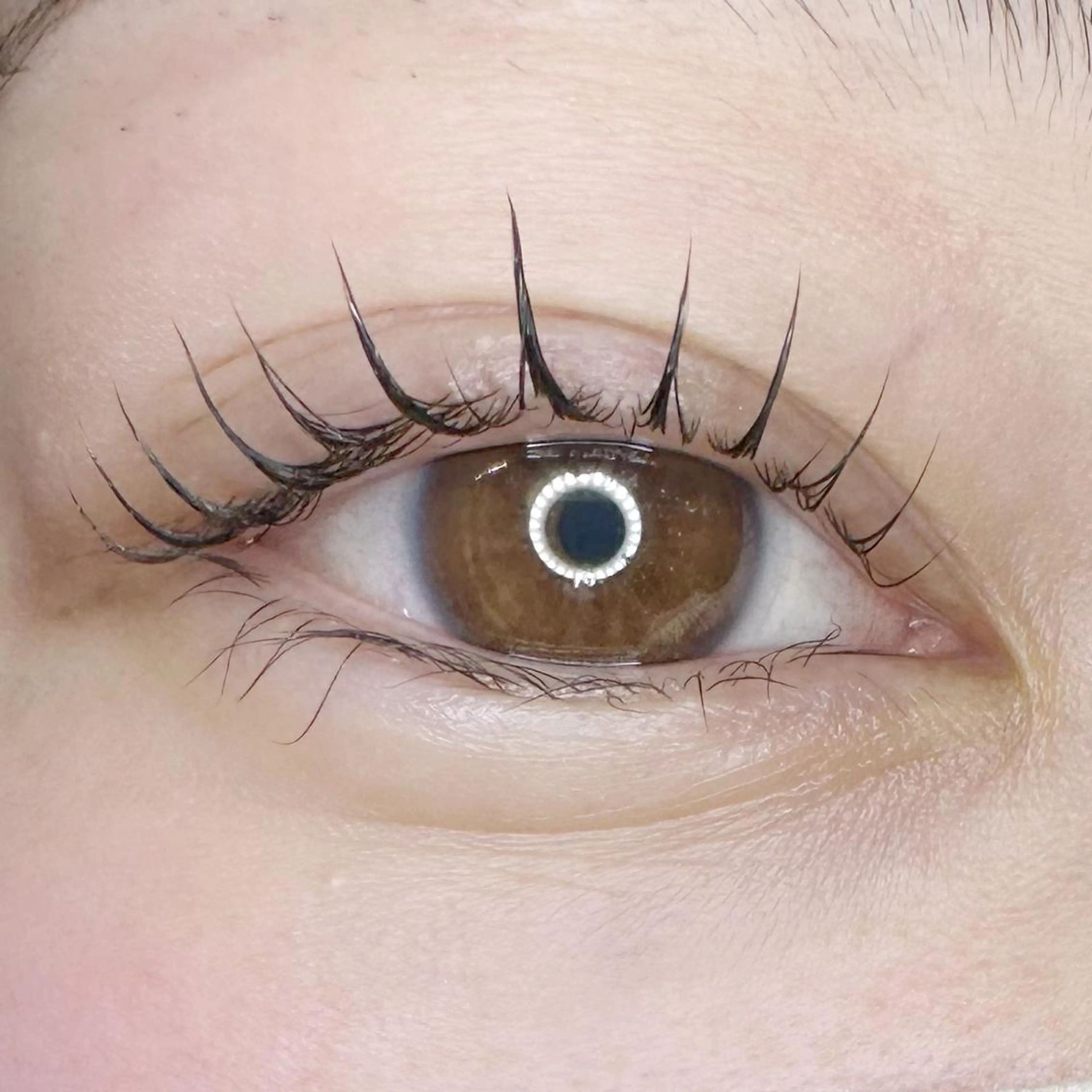 マツエク・マツパ マツパ 口コミ高評価⚡️ Wahf/そうたのマツエク・マツパデザイン