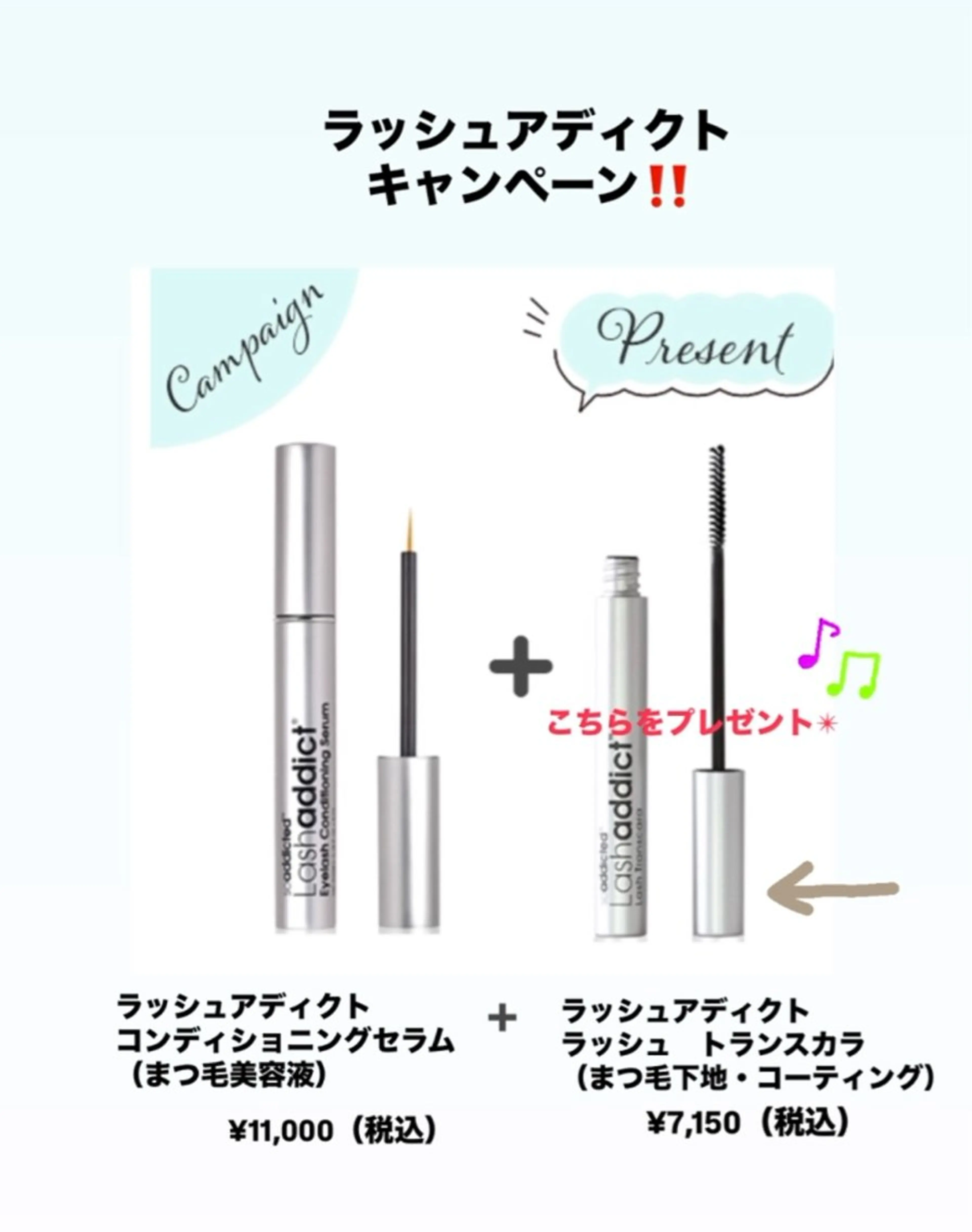 フラットラッシュ１３０本+ラッシュアディクト+ラッシュトランスカラの写真