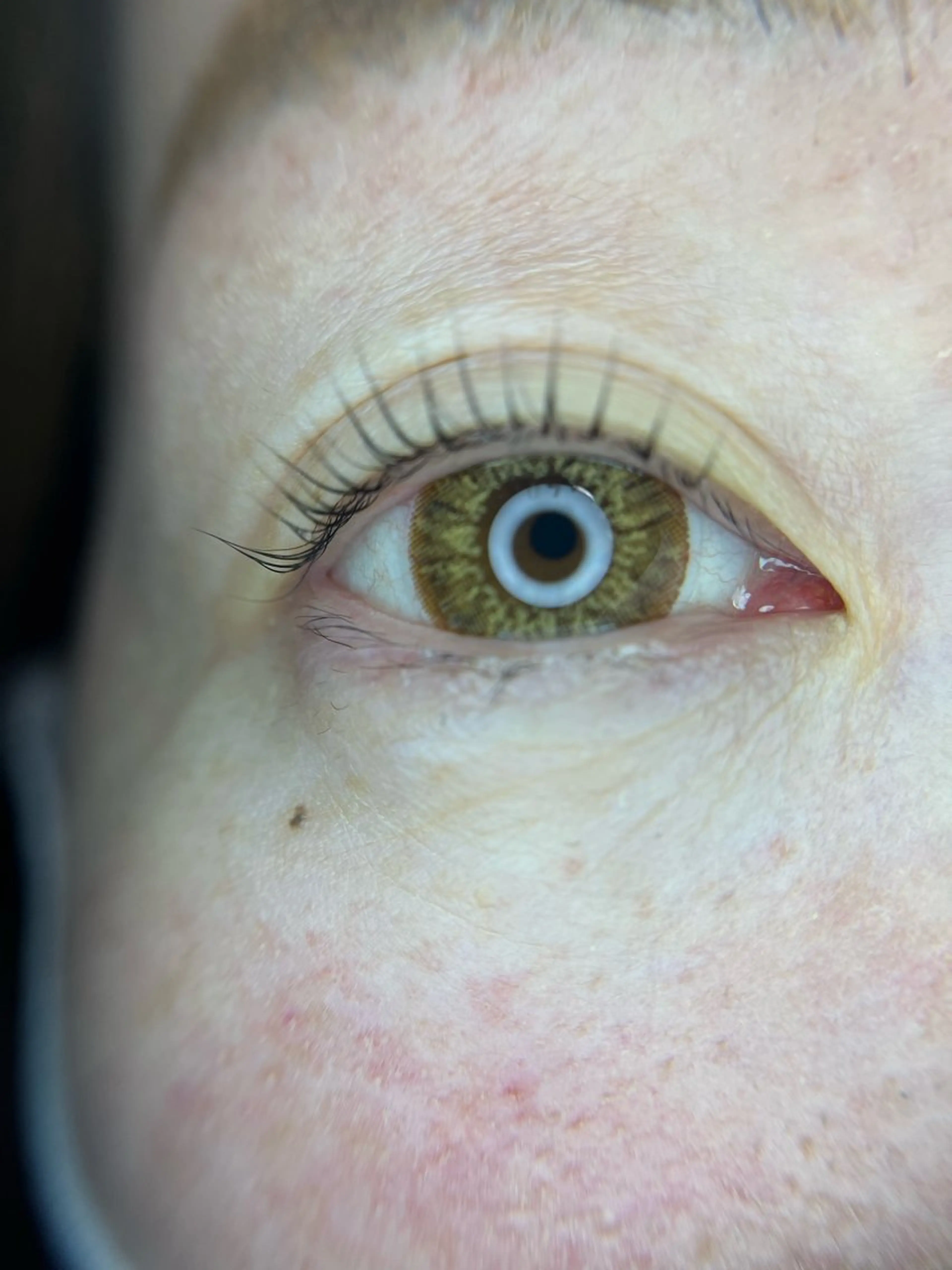 マツエク・マツパ 目黒　フリヴィ 🤎HIROMIのマツエク・マツパデザイン