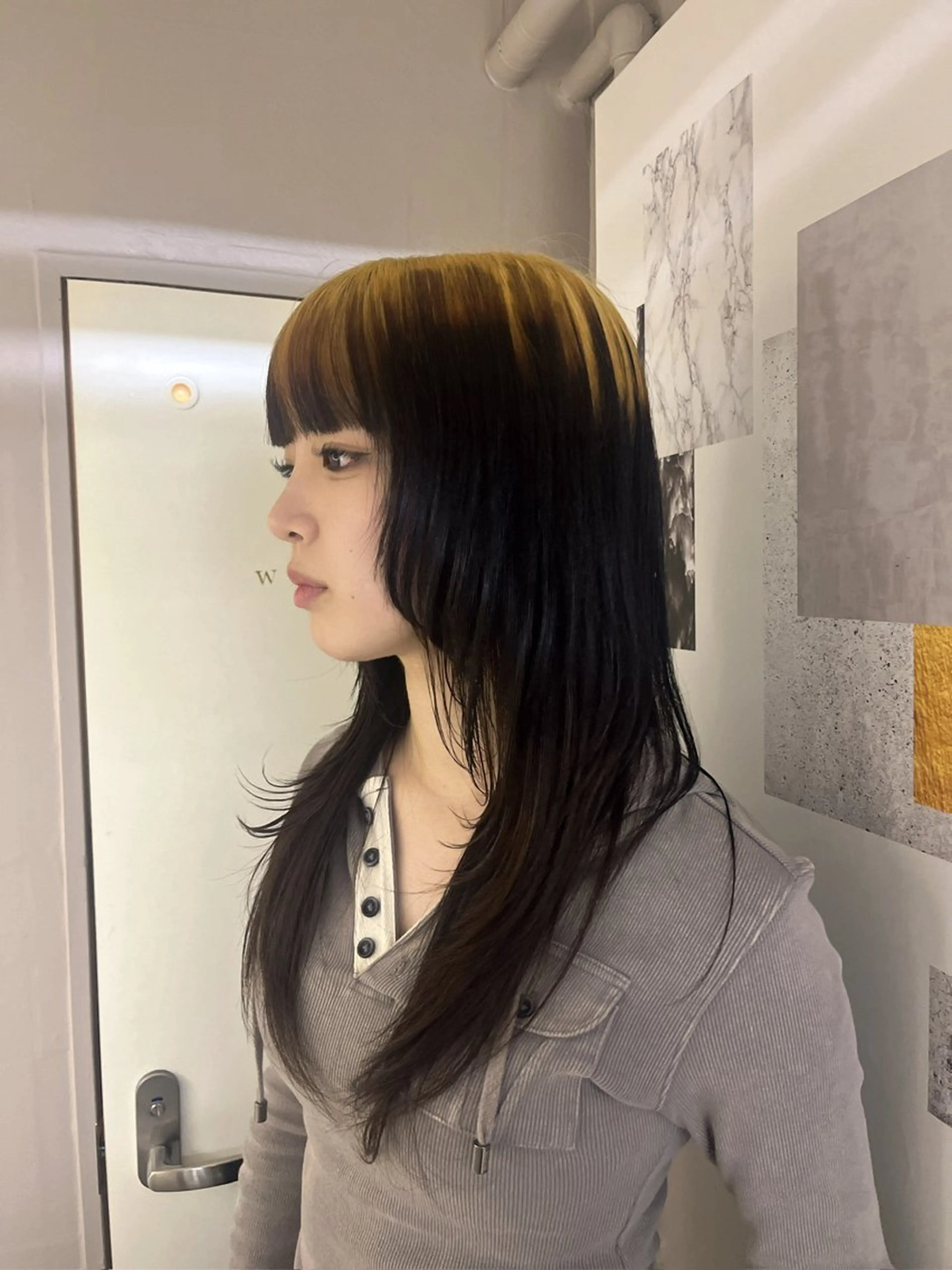 セミロング カット ✩.*Aise⟡.· 艶カラー🐈‍⬛🩶のヘアスタイル